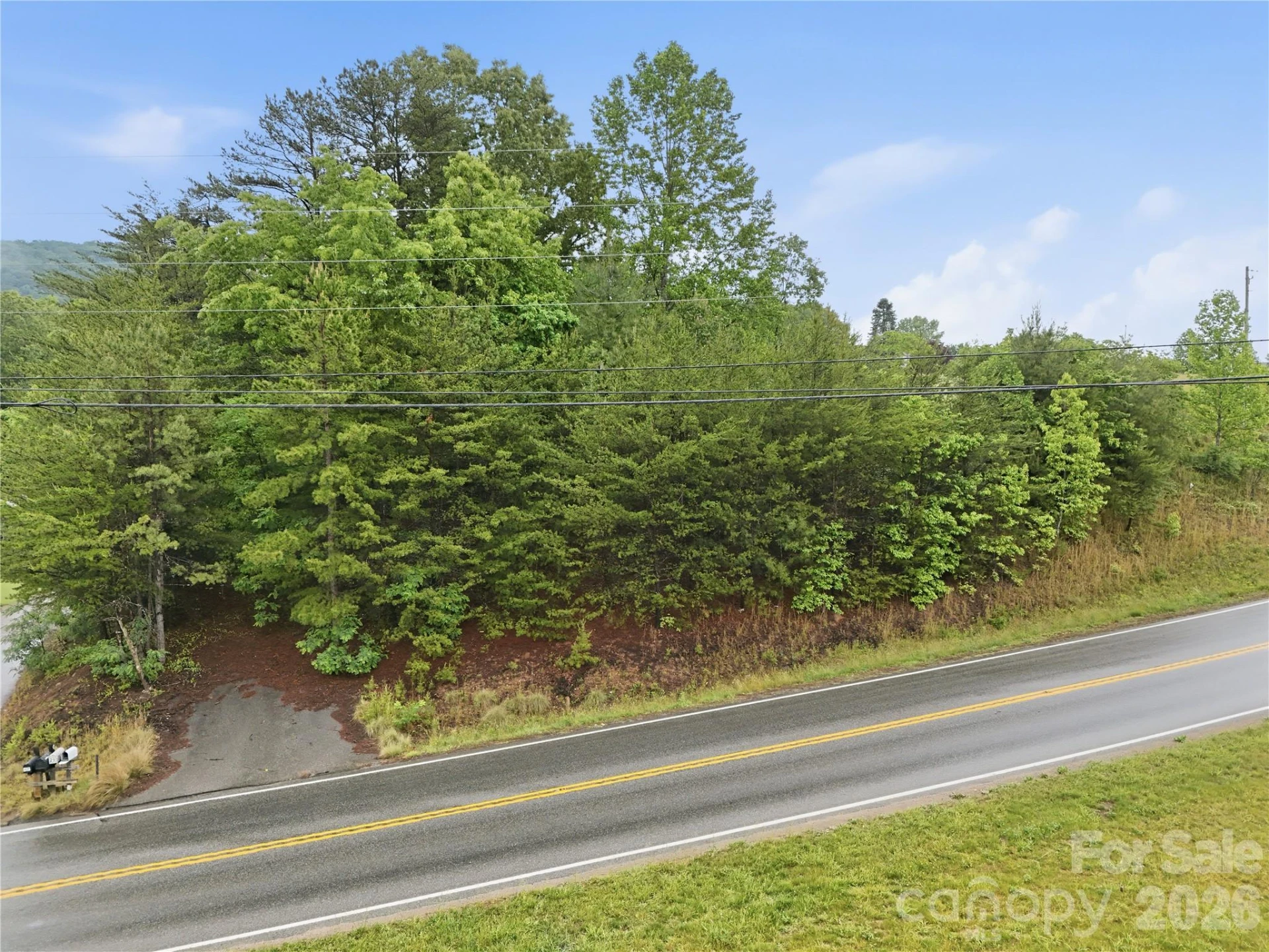 99999 Pisgah Highway - Photo 13