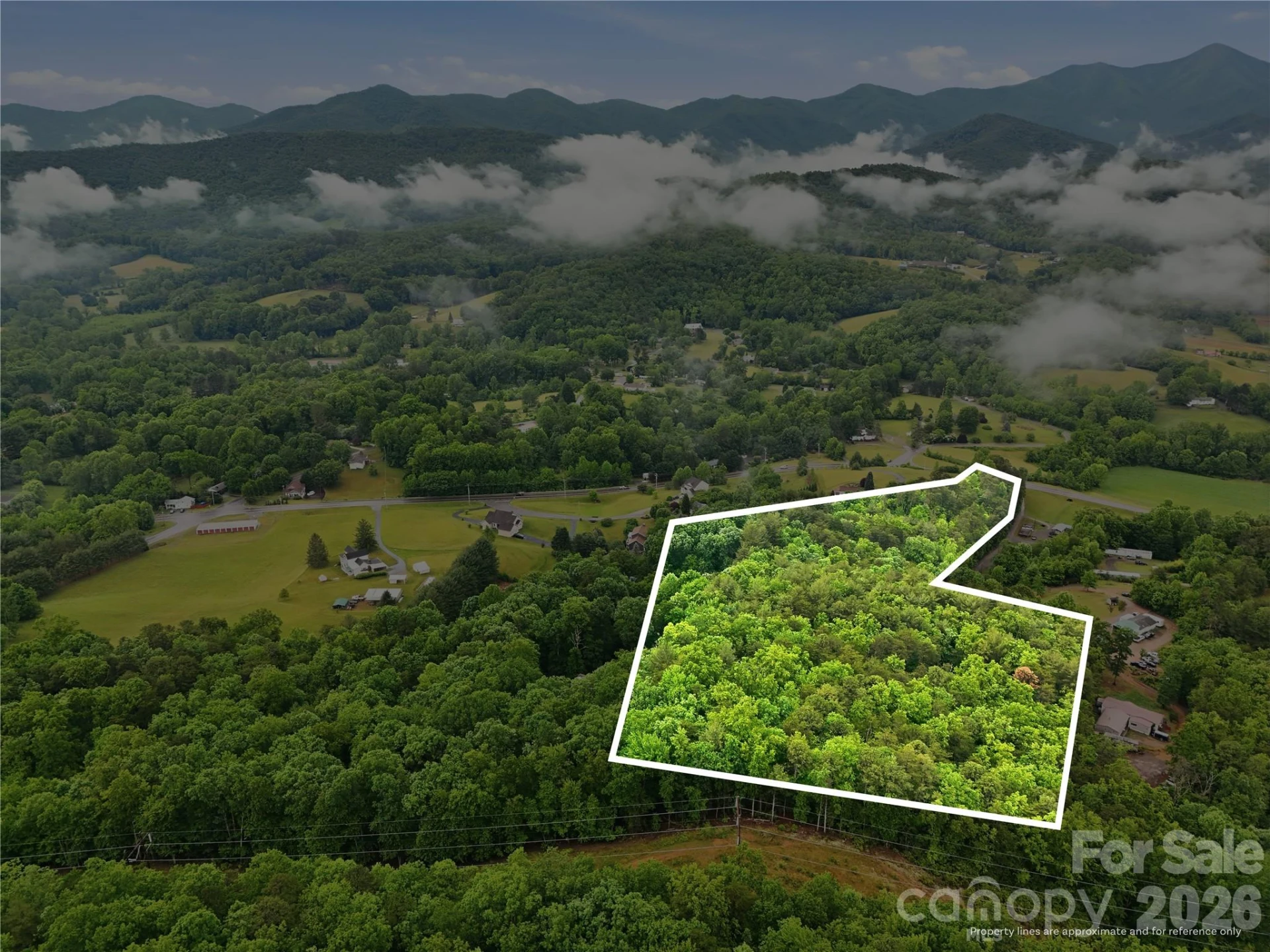 99999 Pisgah Highway - Photo 5