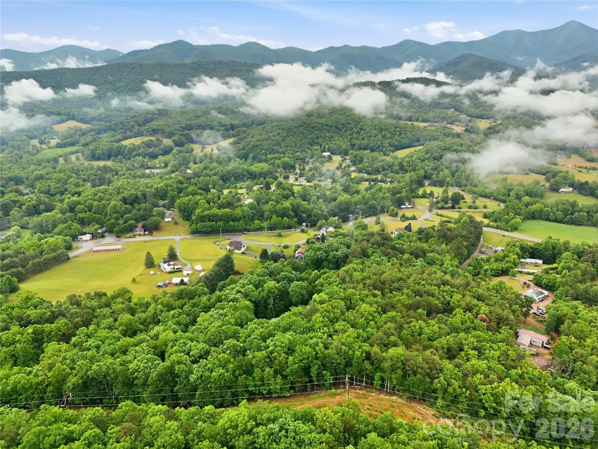 99999 Pisgah Highway - Photo 9