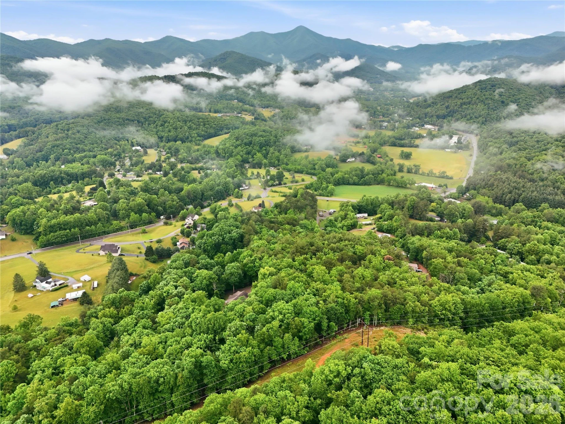 99999 Pisgah Highway - Photo 10