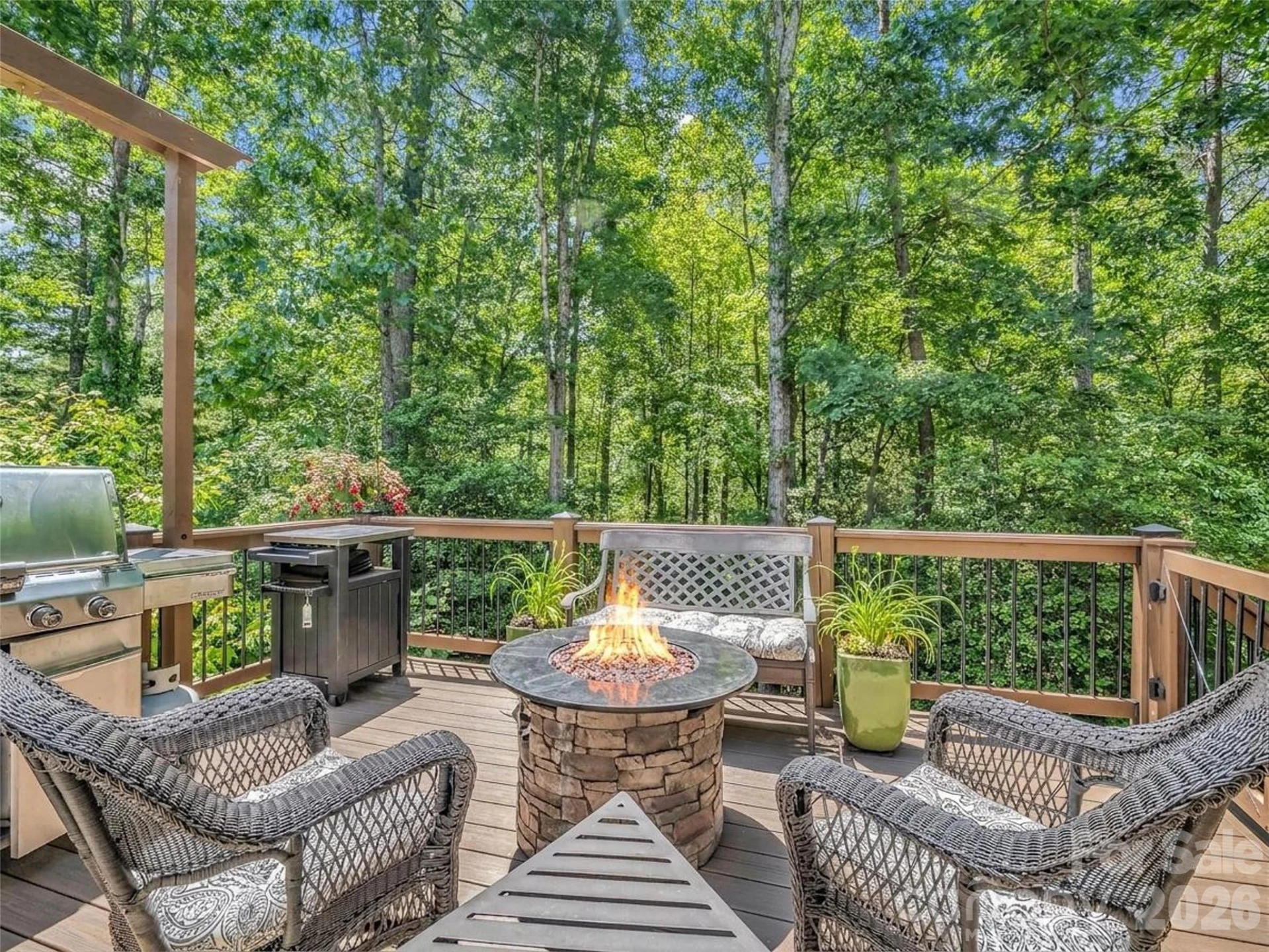1042 Columbine Road - Photo 45