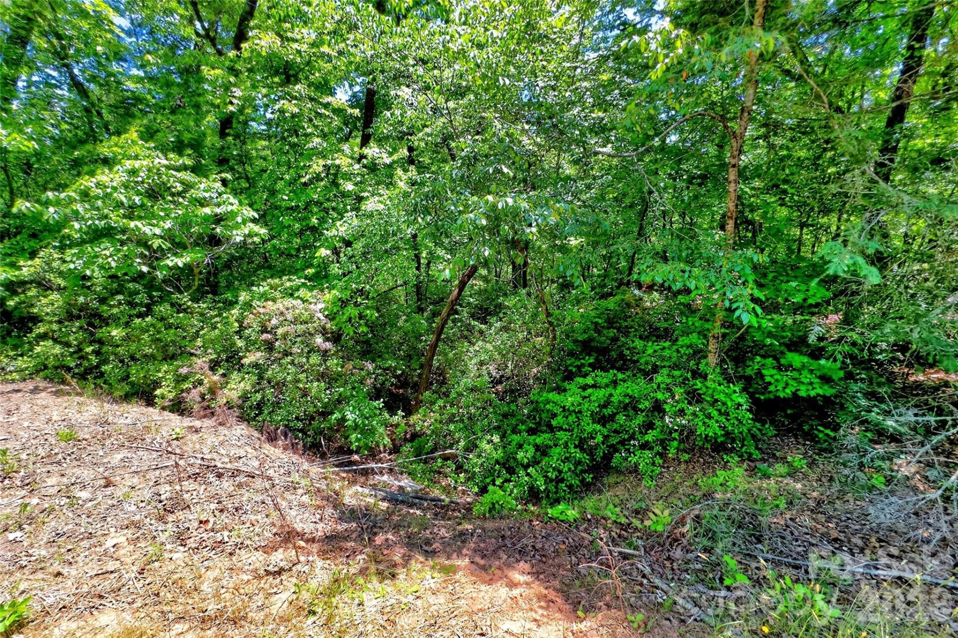999 Justice Drive - Photo 9