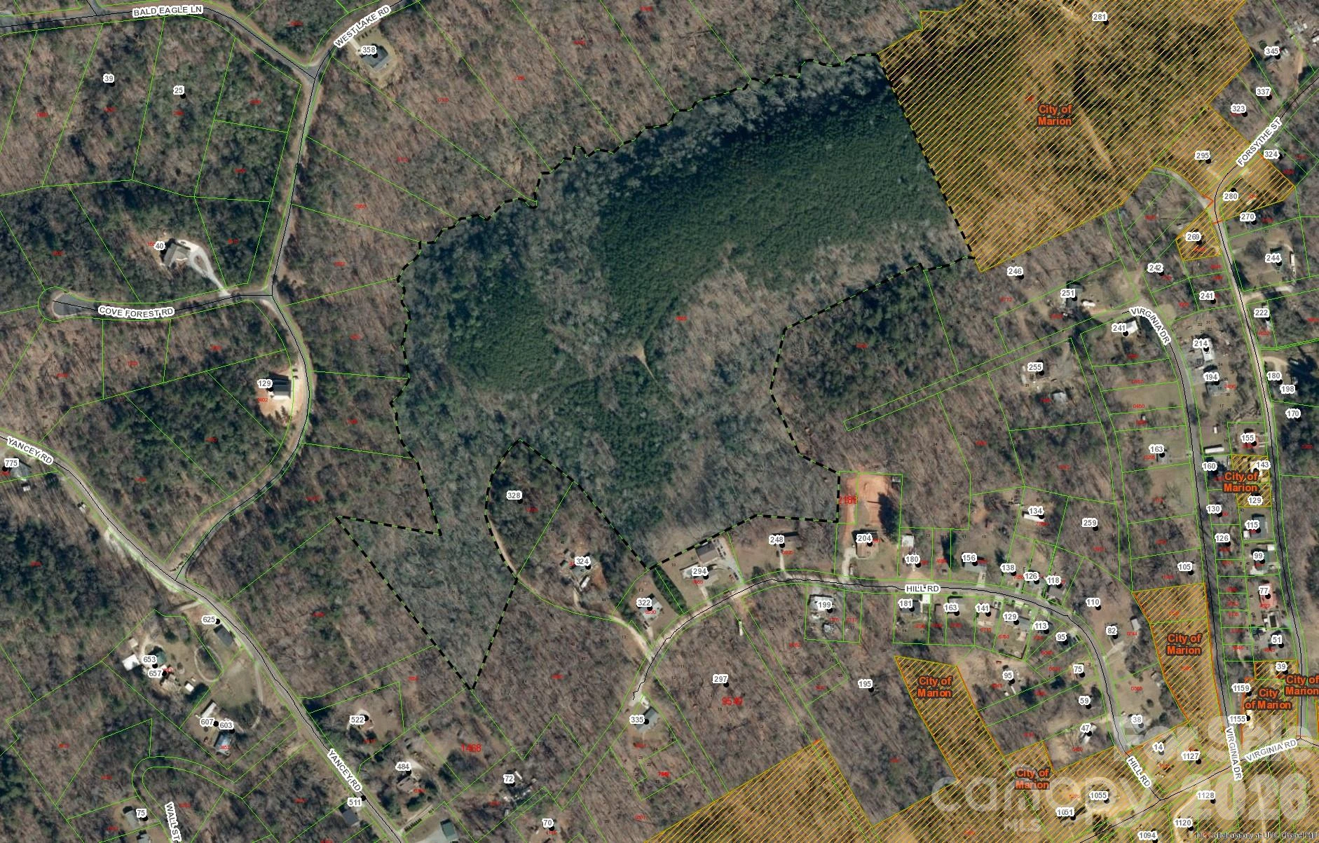 Tract 2 Hill Road - Photo 2