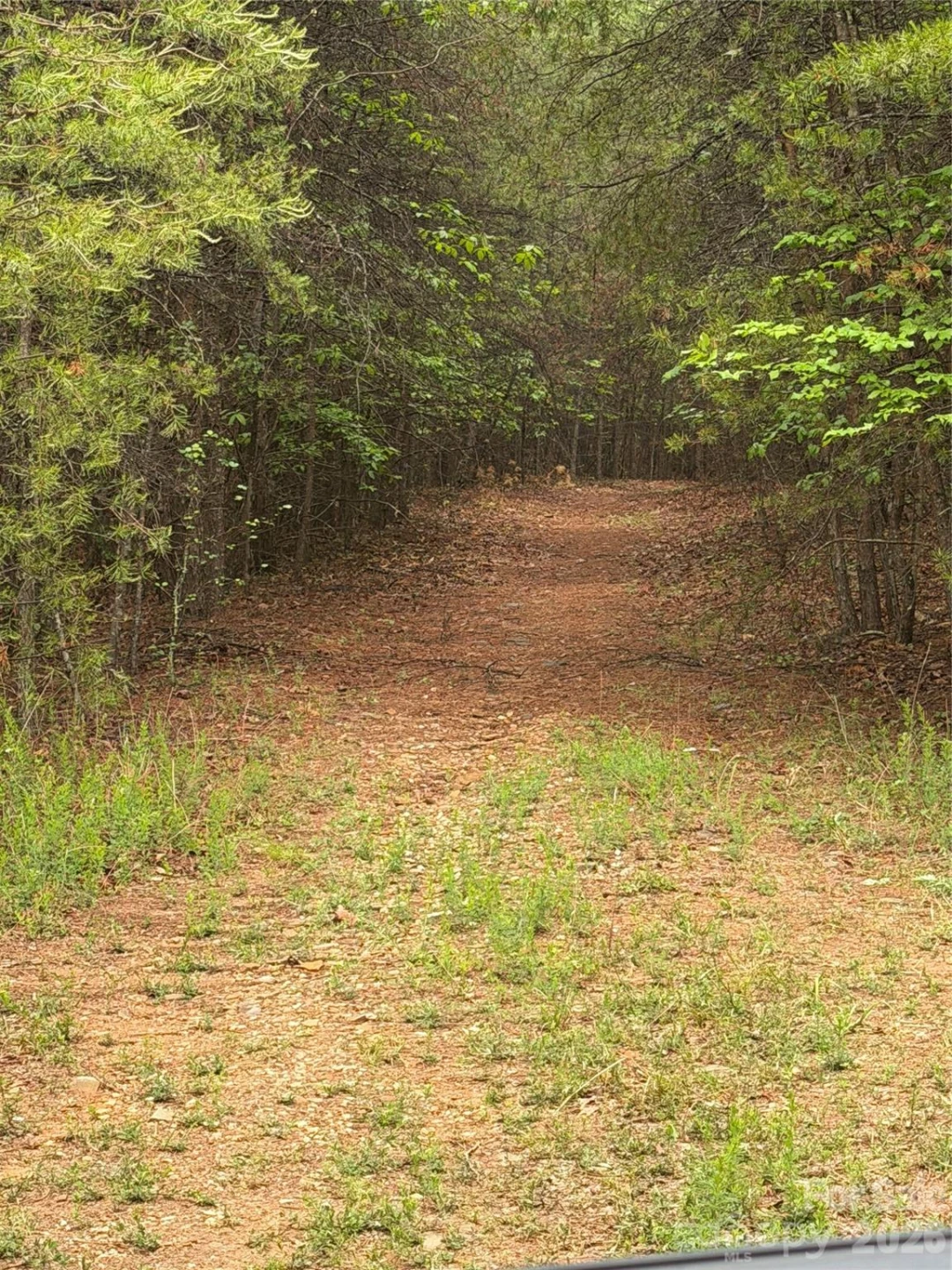 Tract 2 Hill Road - Photo 6