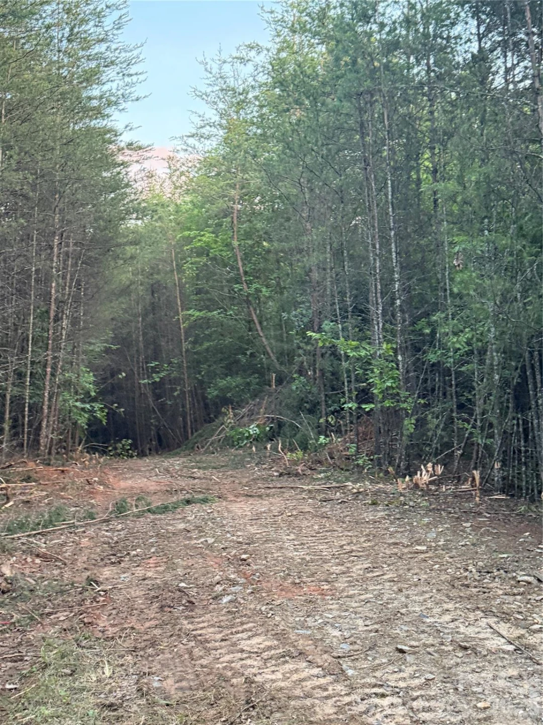 Tract 2 Hill Road - Photo 9