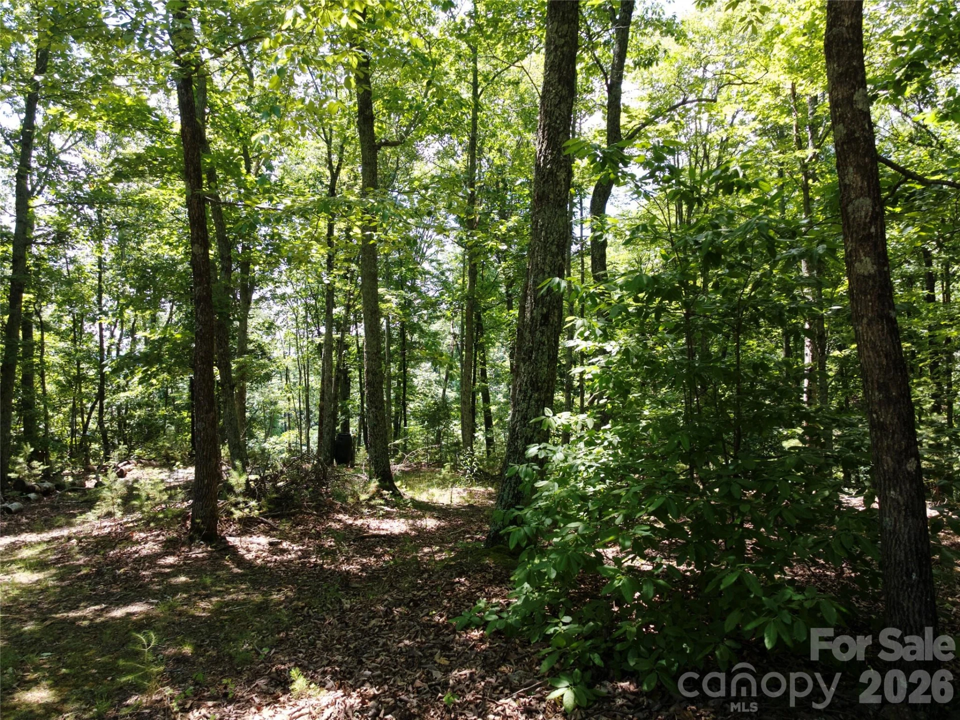 118 Upper Ridge Road - Photo 11