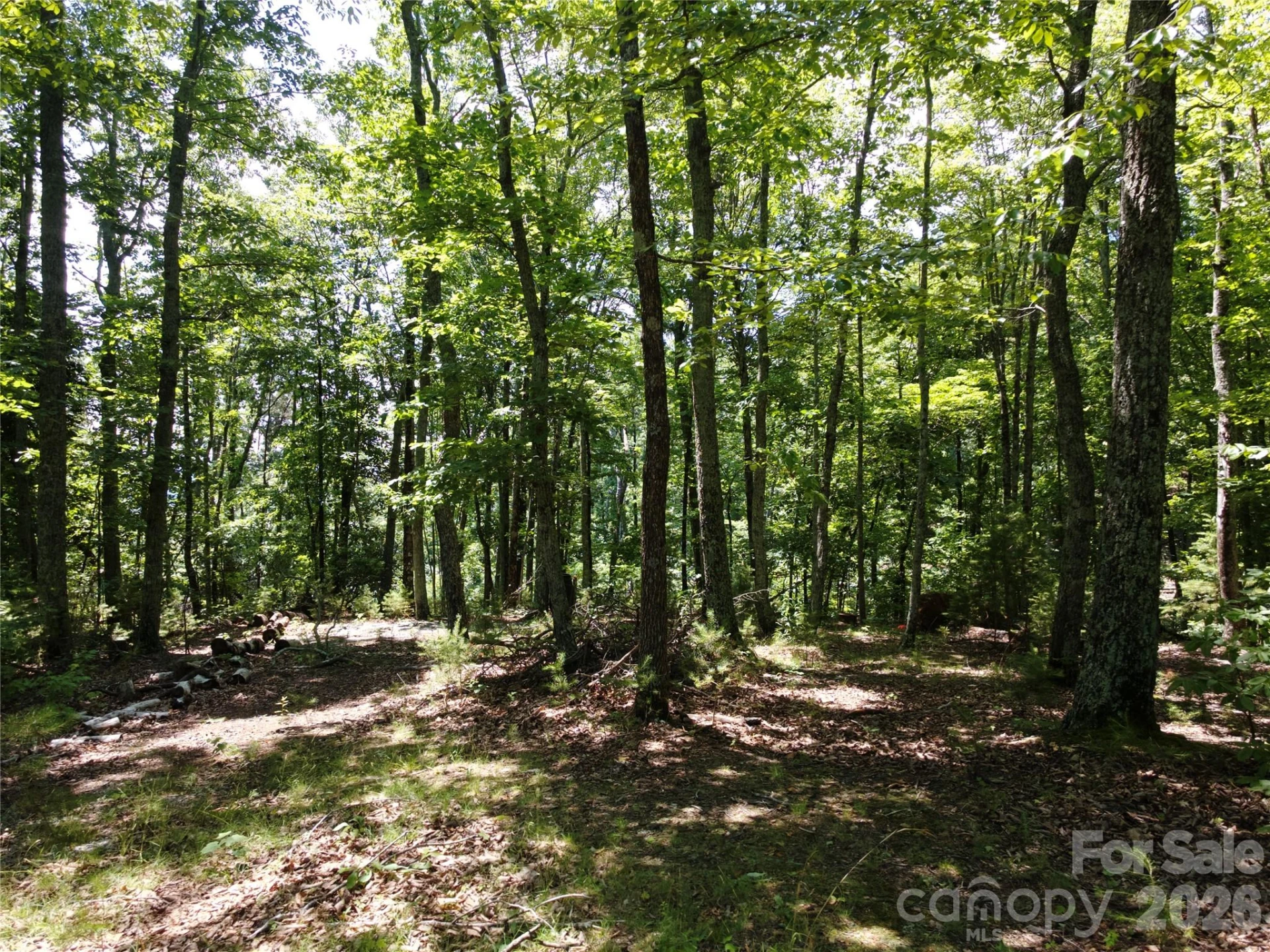 118 Upper Ridge Road - Photo 12