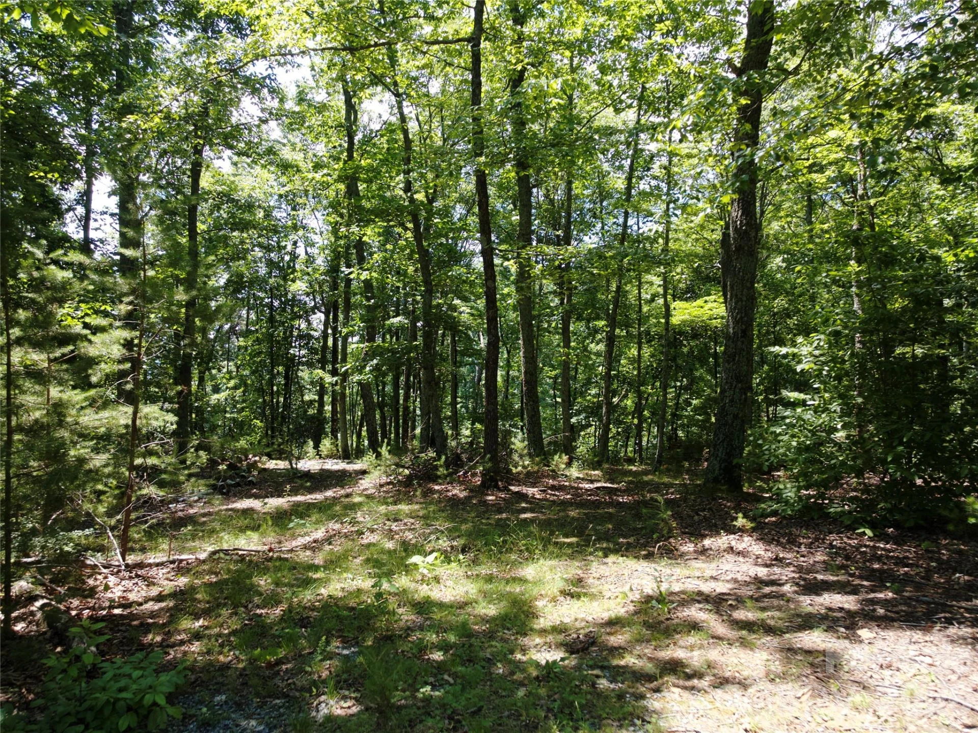118 Upper Ridge Road - Photo 13