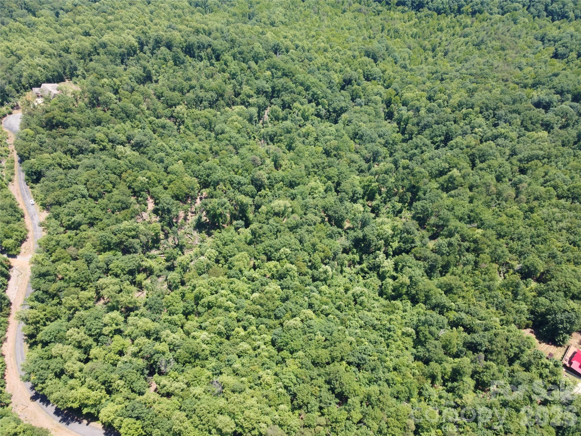 118 Upper Ridge Road - Photo 7