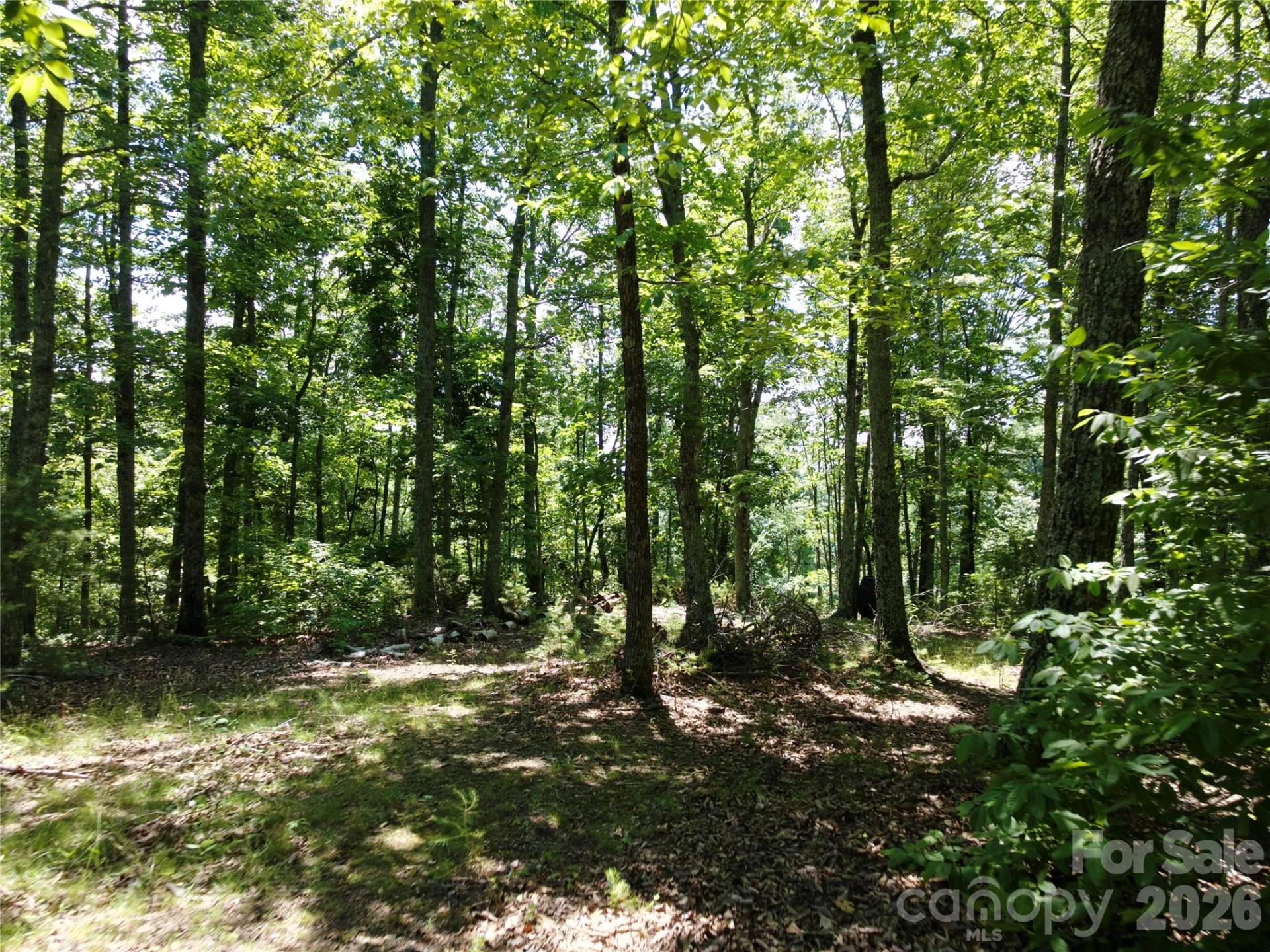 118 Upper Ridge Road - Photo 10
