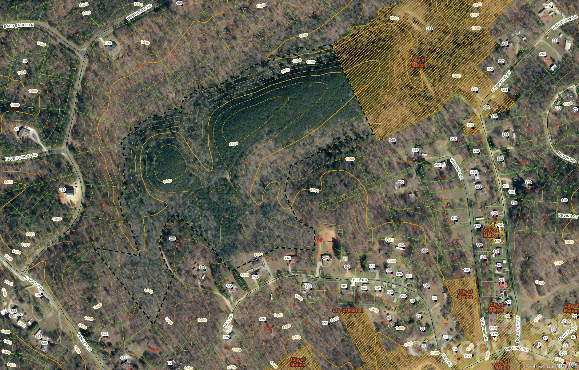 Tract 5 Hill Road - Photo 3