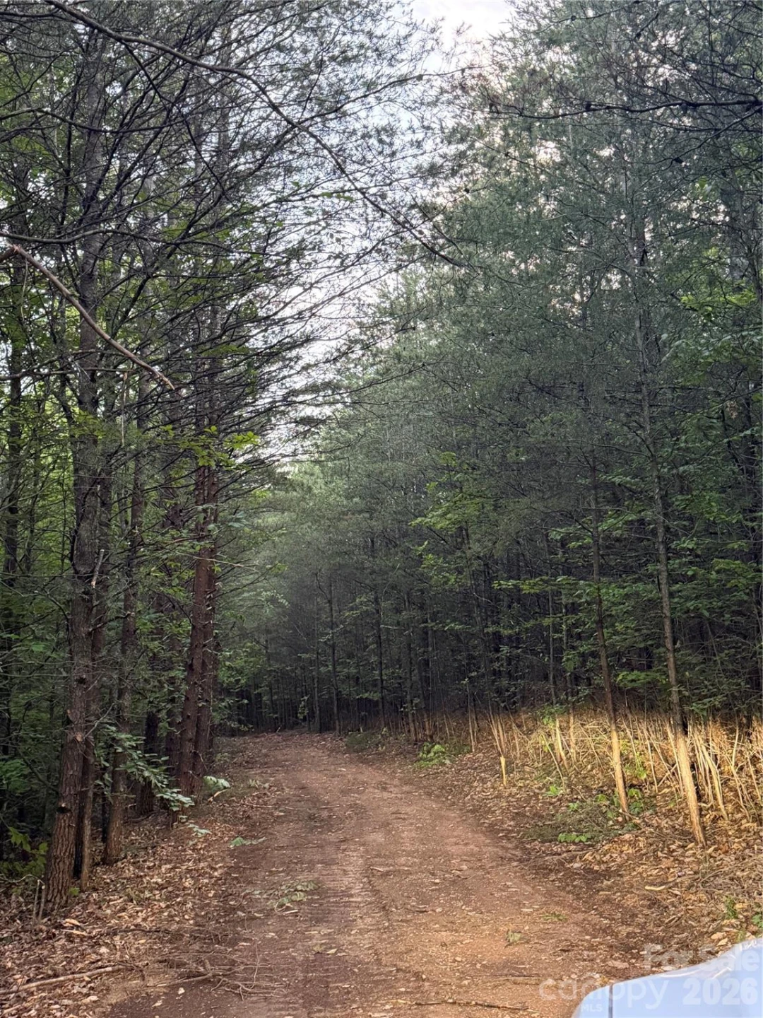 Tract 5 Hill Road - Photo 8