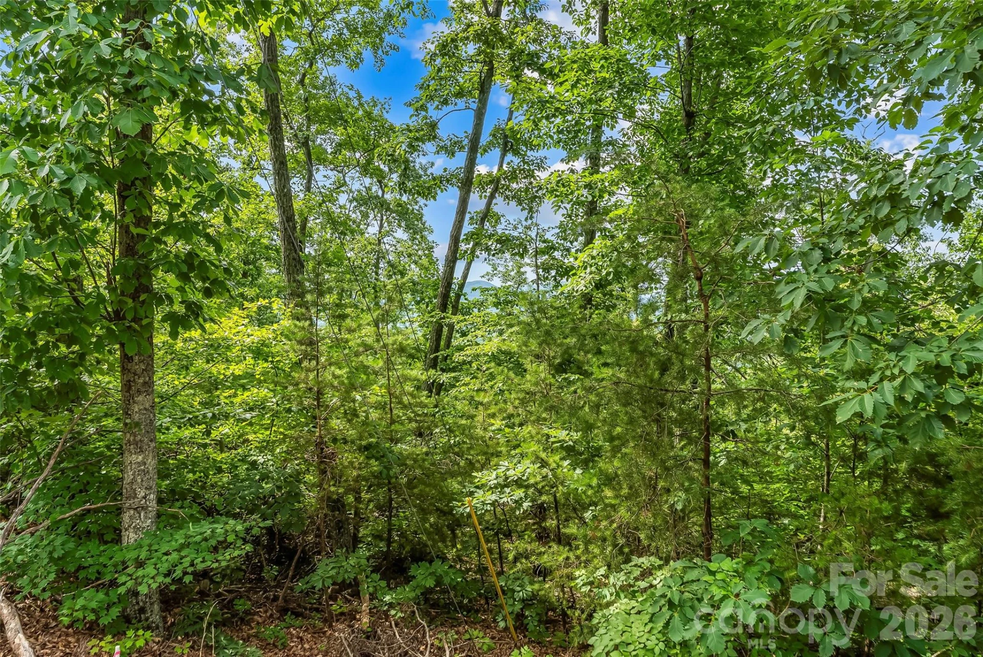0 Brighton Drive #237 - Photo 16