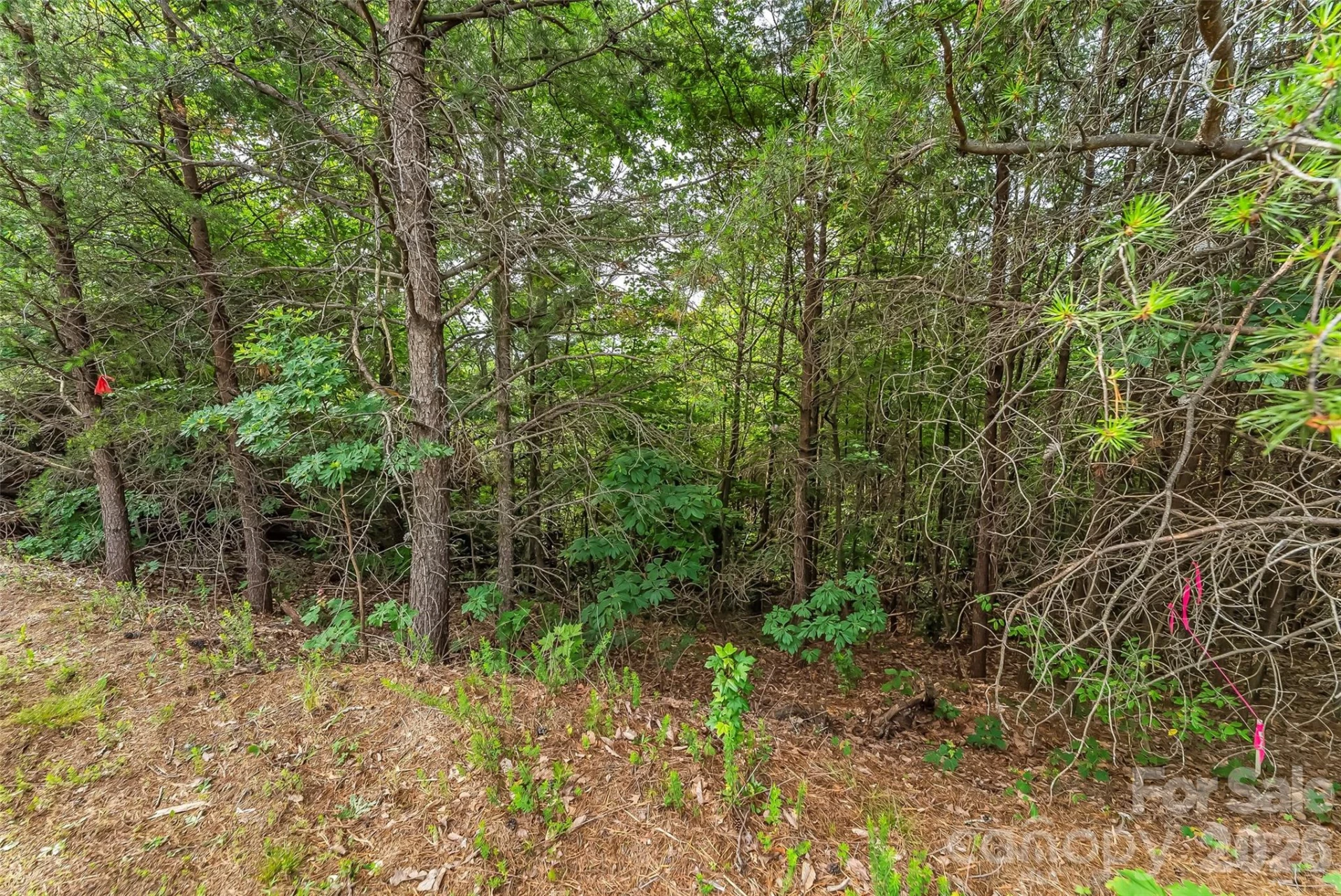 0 Brighton Drive #237 - Photo 17