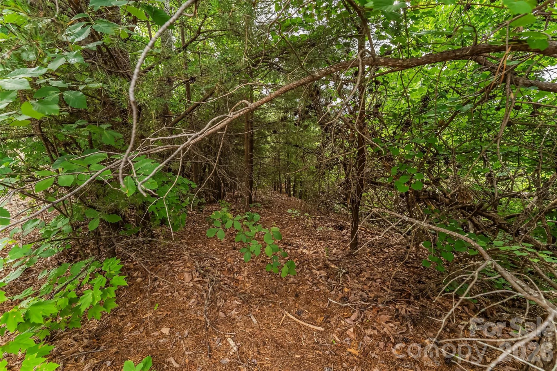 0 Brighton Drive #237 - Photo 18