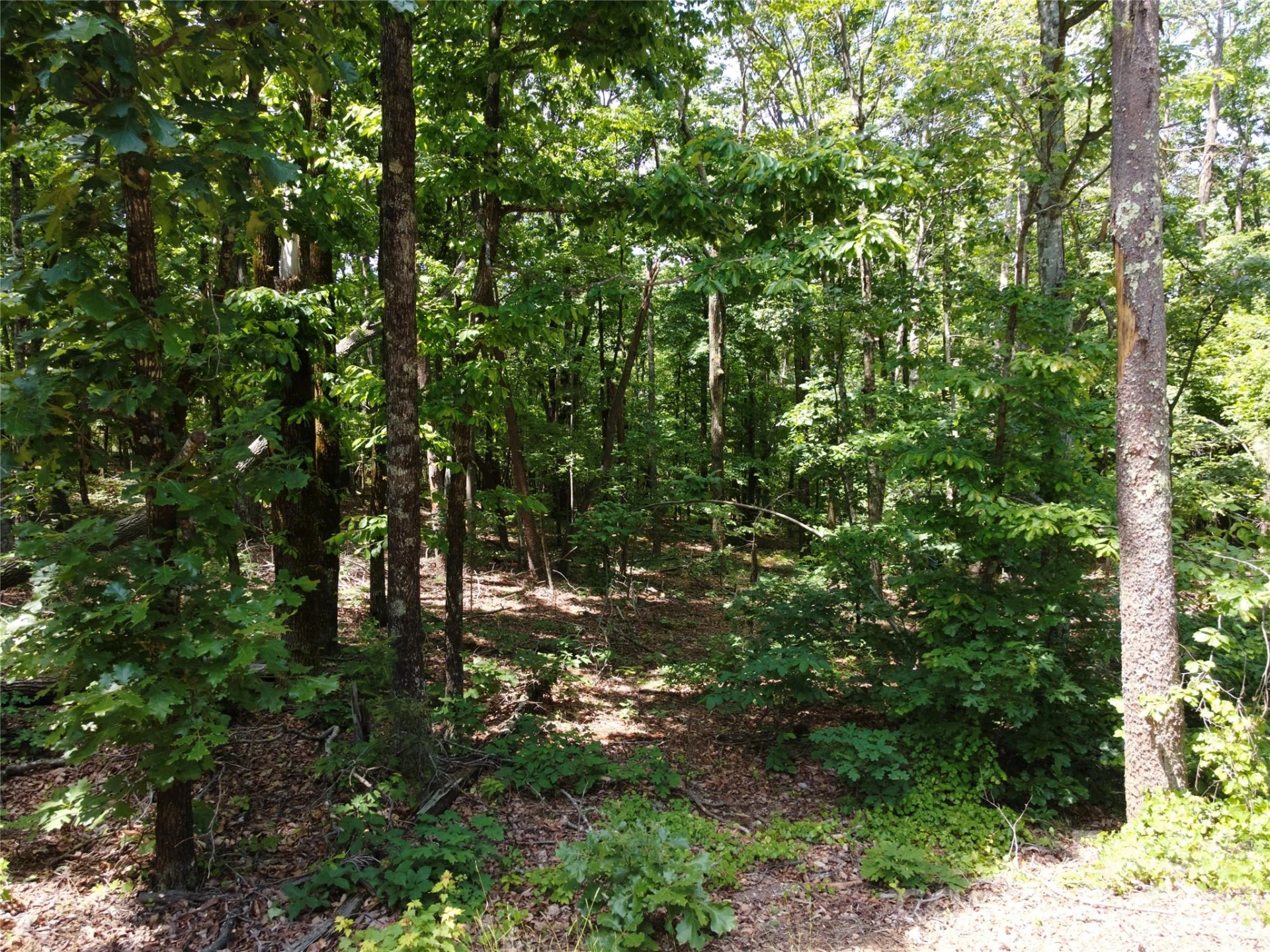 132 Valleyview Drive - Photo 17