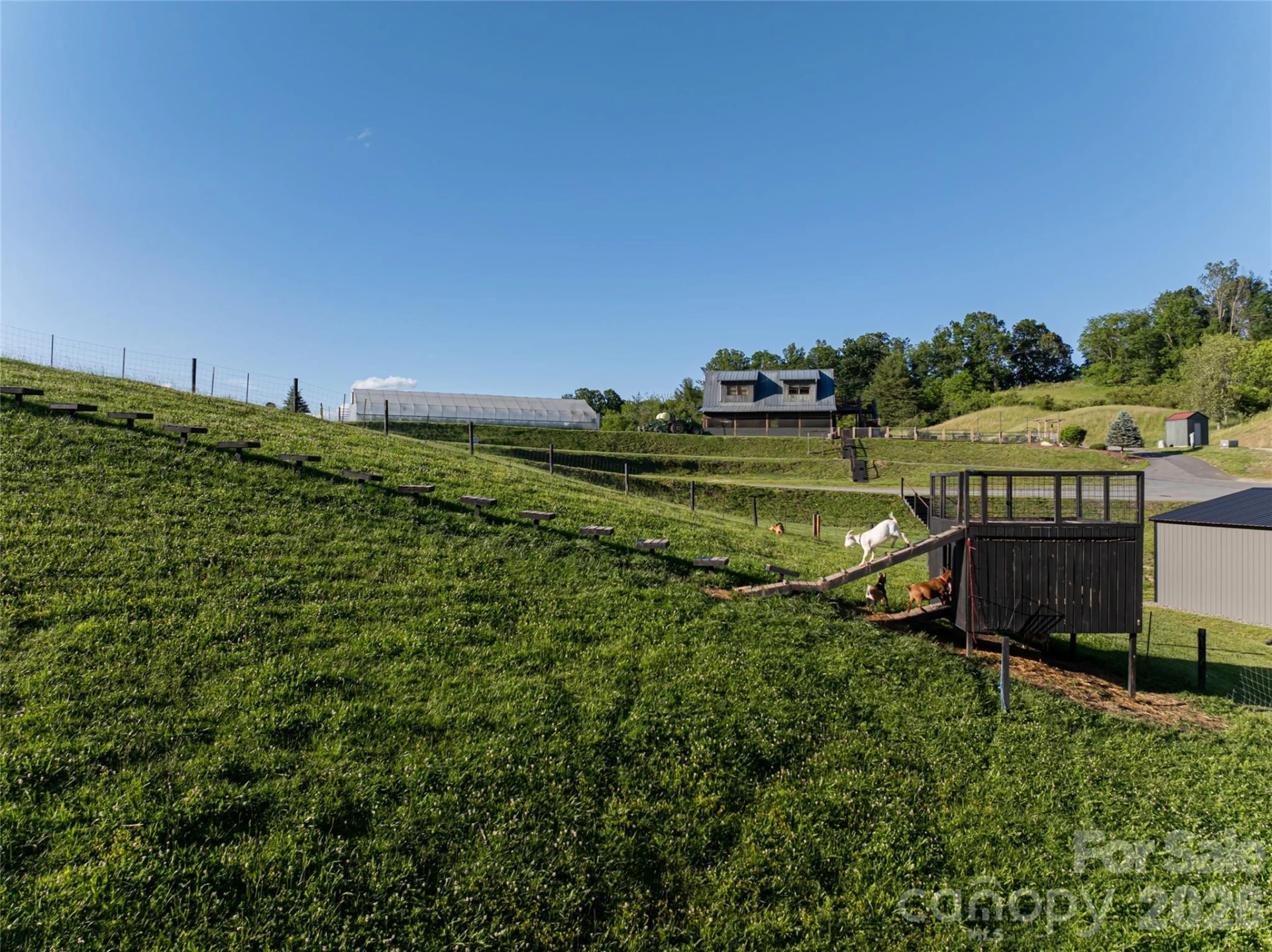 124 Lilikoi Lane #93 - Photo 24
