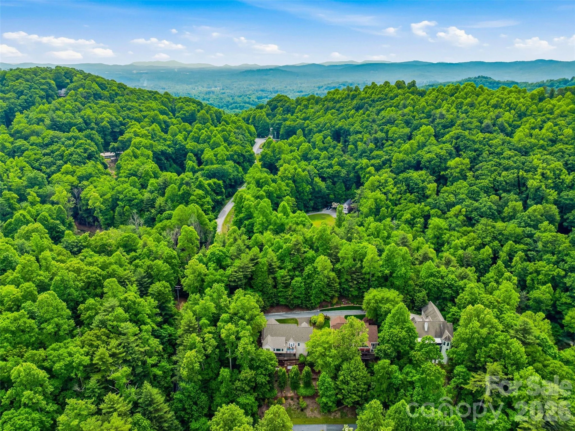 115 Flameleaf Lane - Photo 48