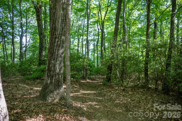 TM I 33 Toxaway Drive, Lake Toxaway, NC, 28747