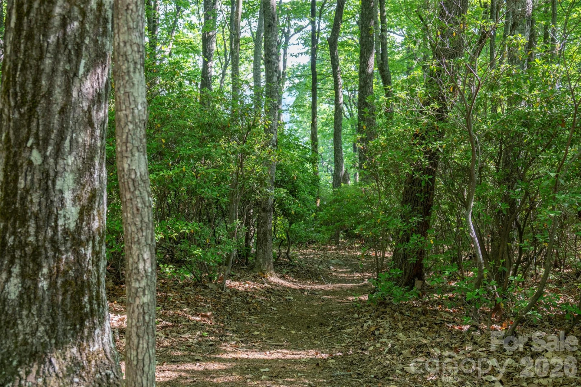 TM I 33 Toxaway Drive - Photo 2