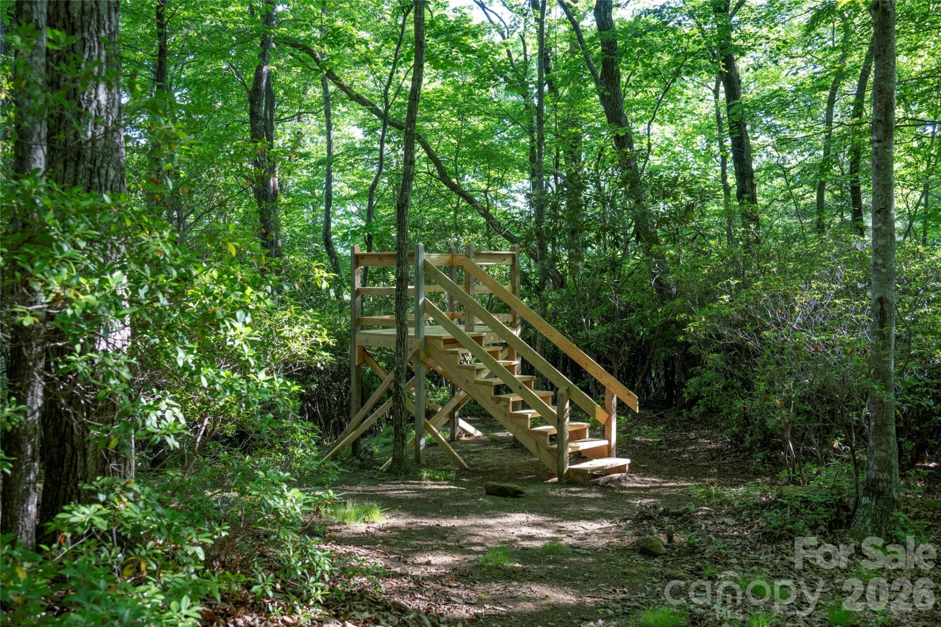 TM I 33 Toxaway Drive - Photo 3