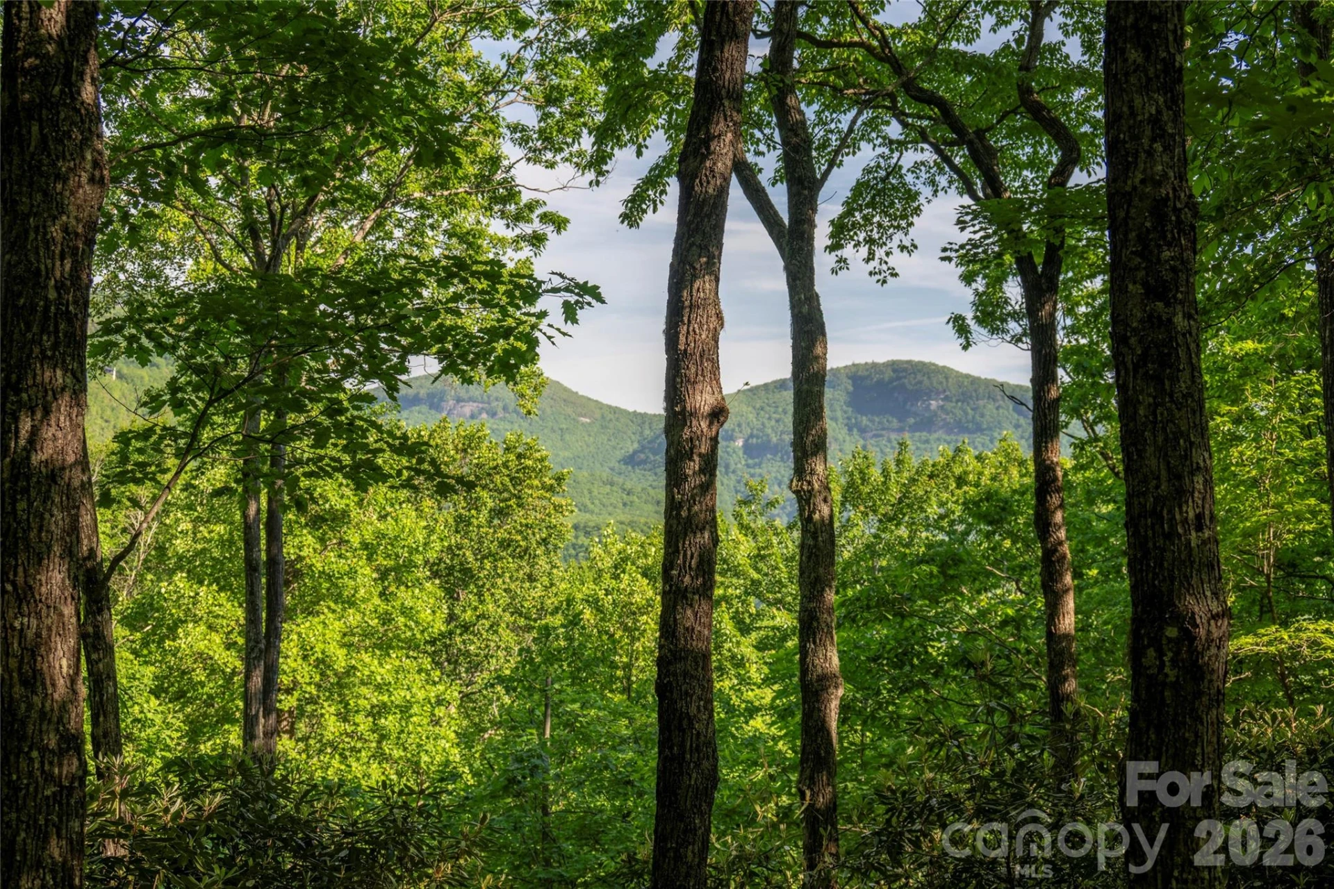 TM I 33 Toxaway Drive - Photo 4