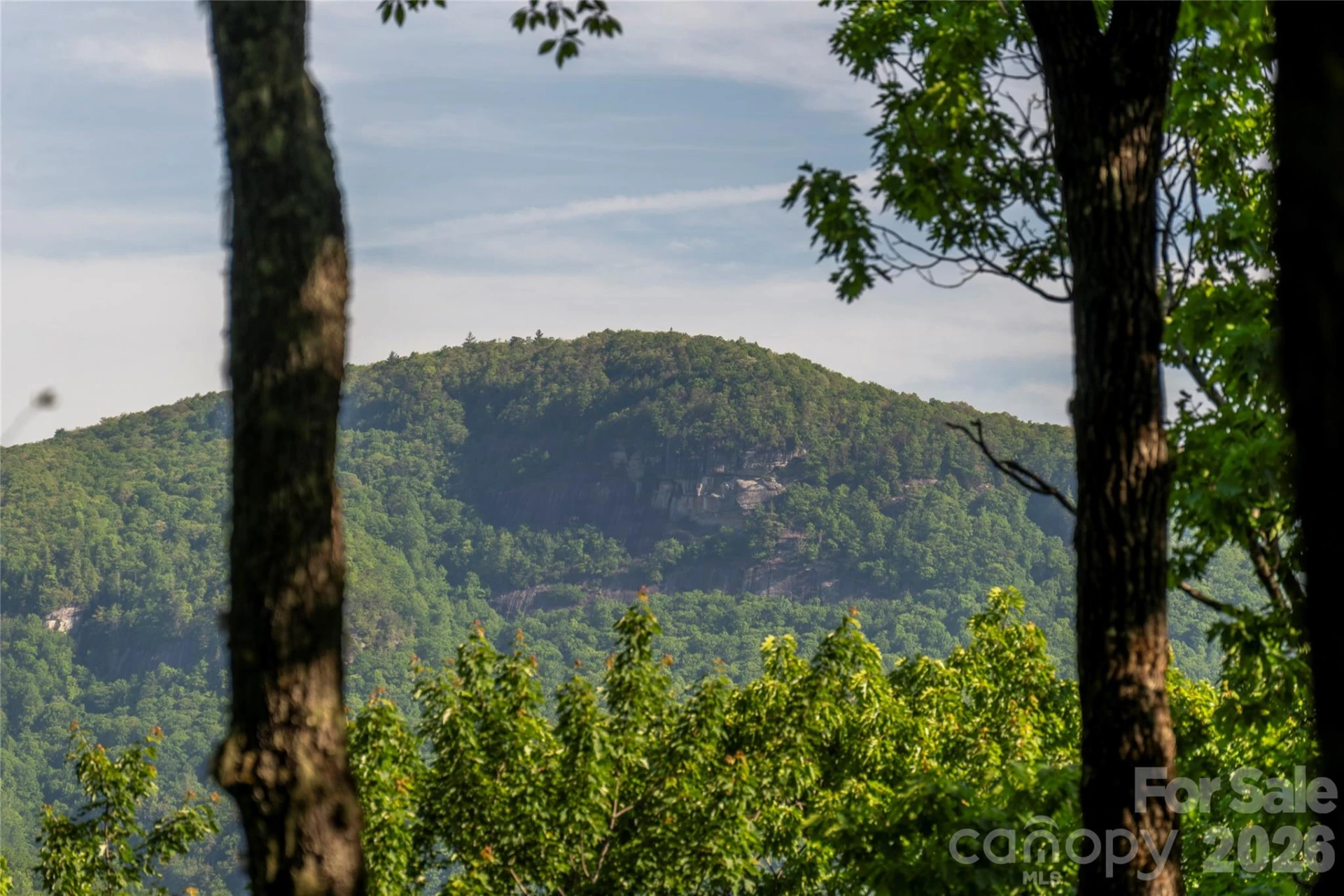 TM I 33 Toxaway Drive - Photo 5