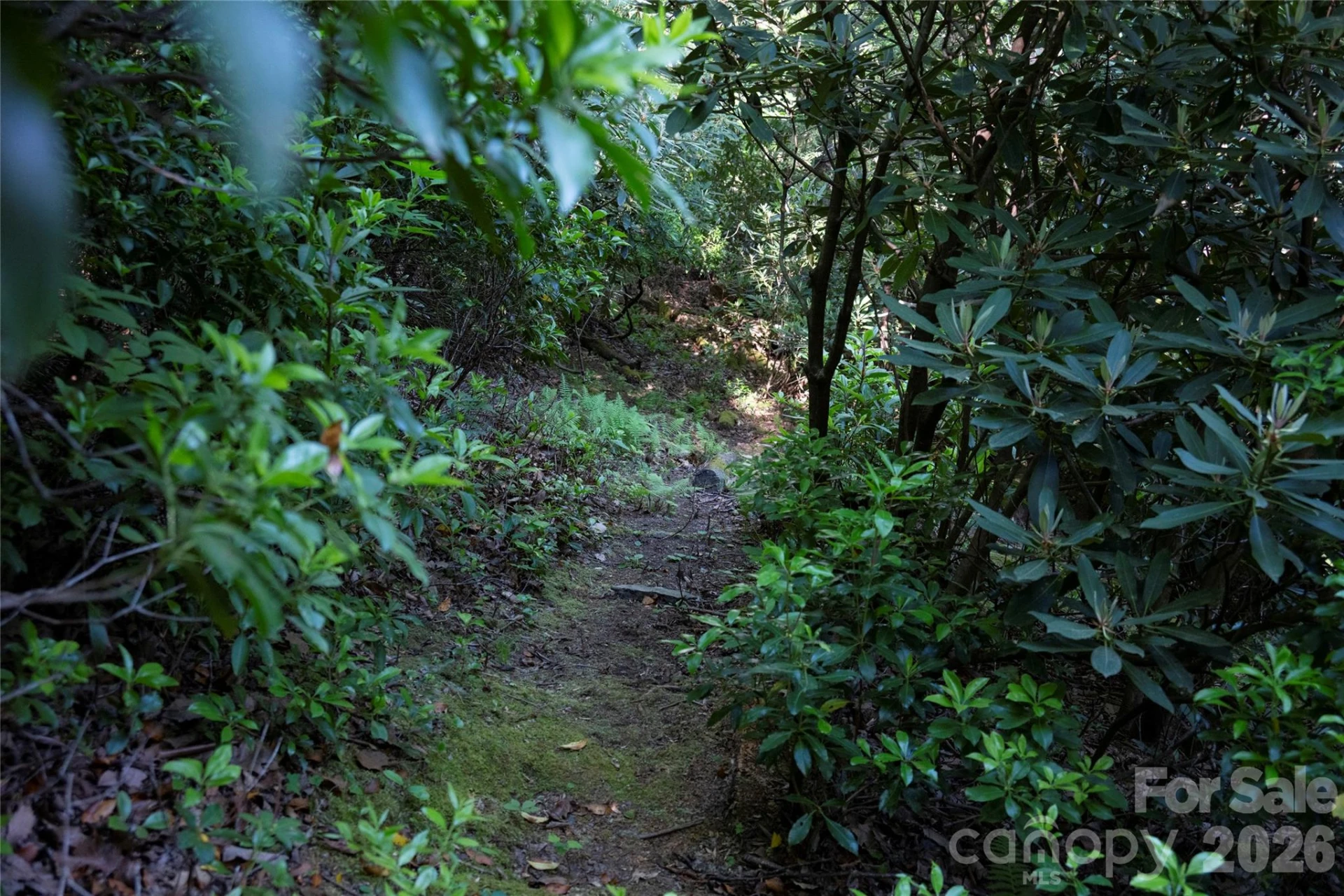 TM I 33 Toxaway Drive - Photo 6