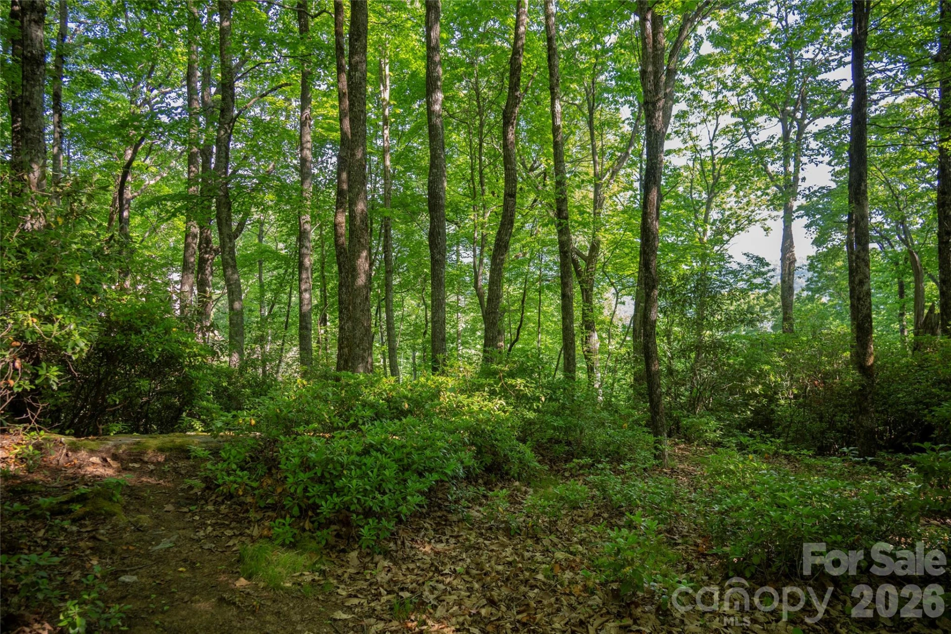 TM I 33 Toxaway Drive - Photo 7