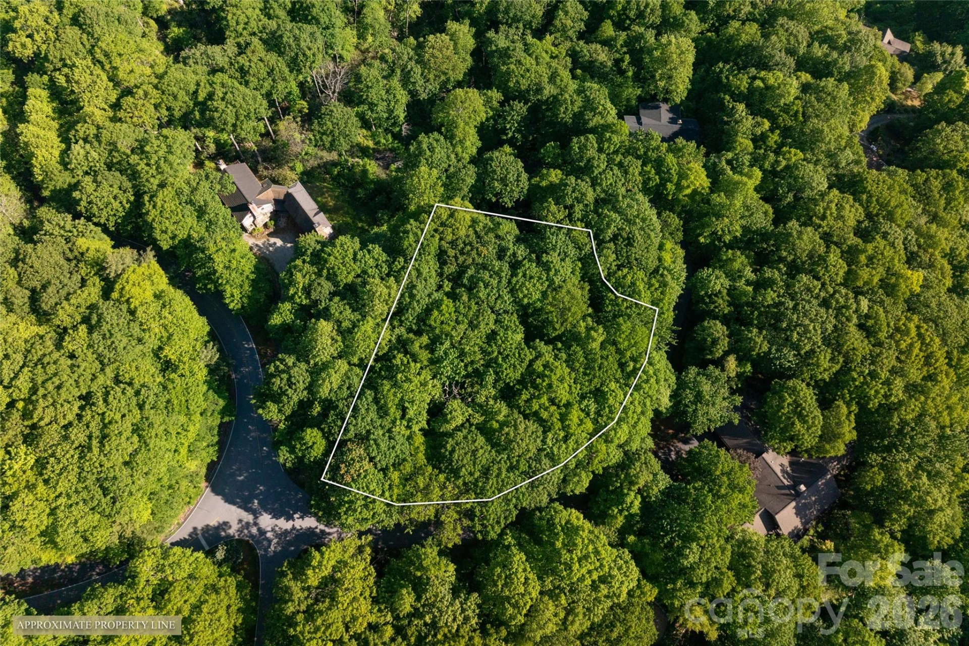 TM I 33 Toxaway Drive - Photo 8
