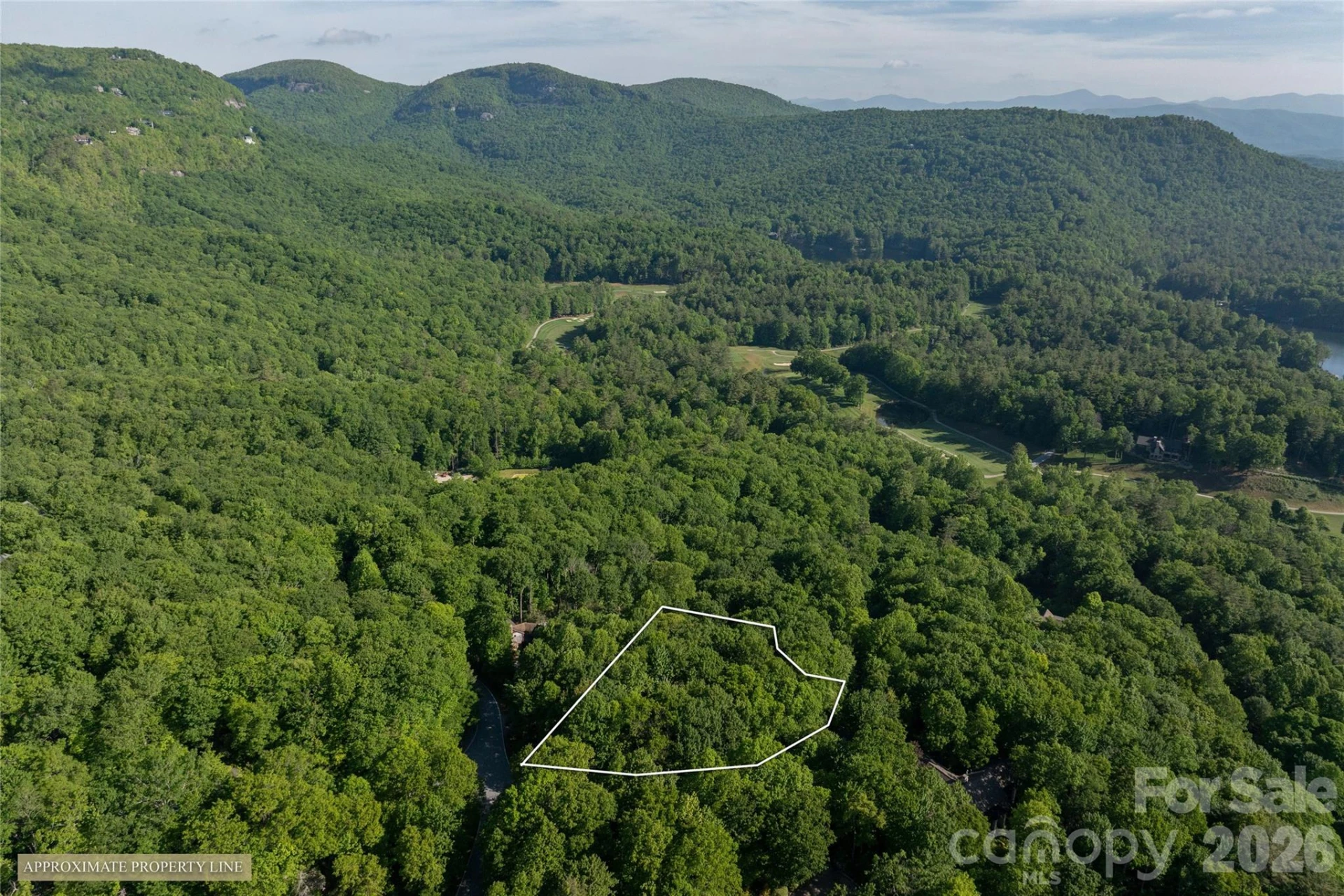 TM I 33 Toxaway Drive - Photo 9