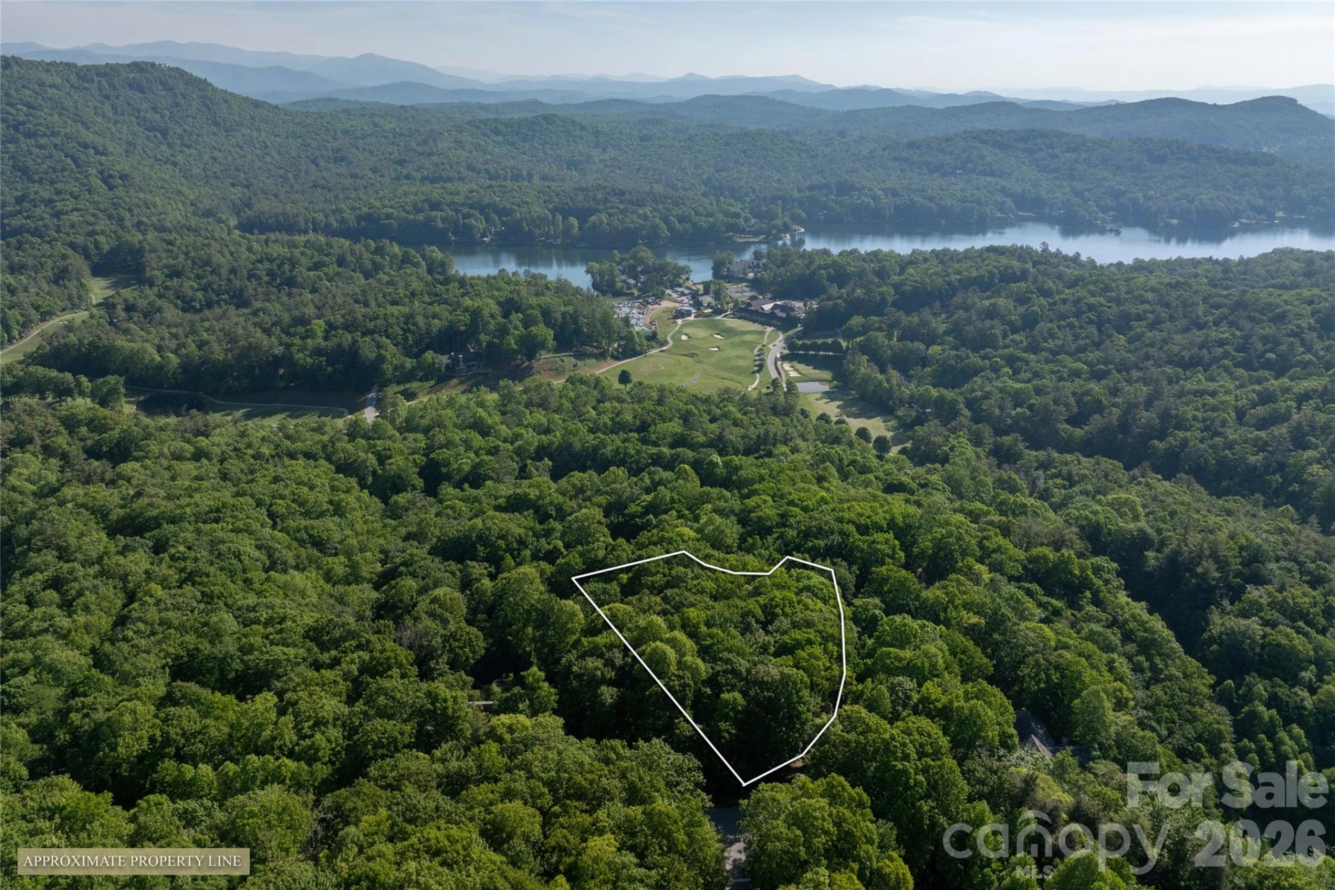 TM I 33 Toxaway Drive - Photo 10