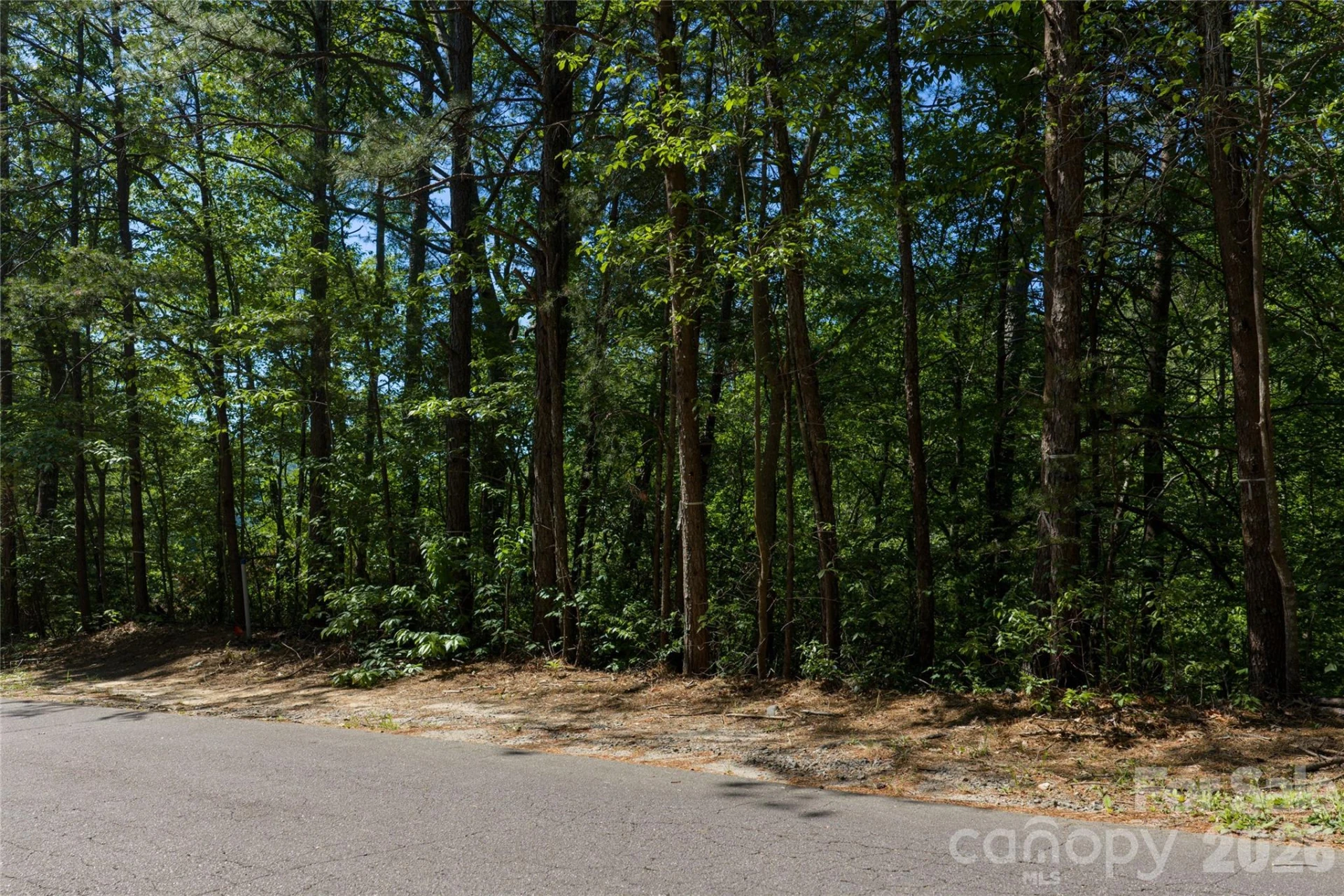 9999 Dogwood Drive - Photo 2