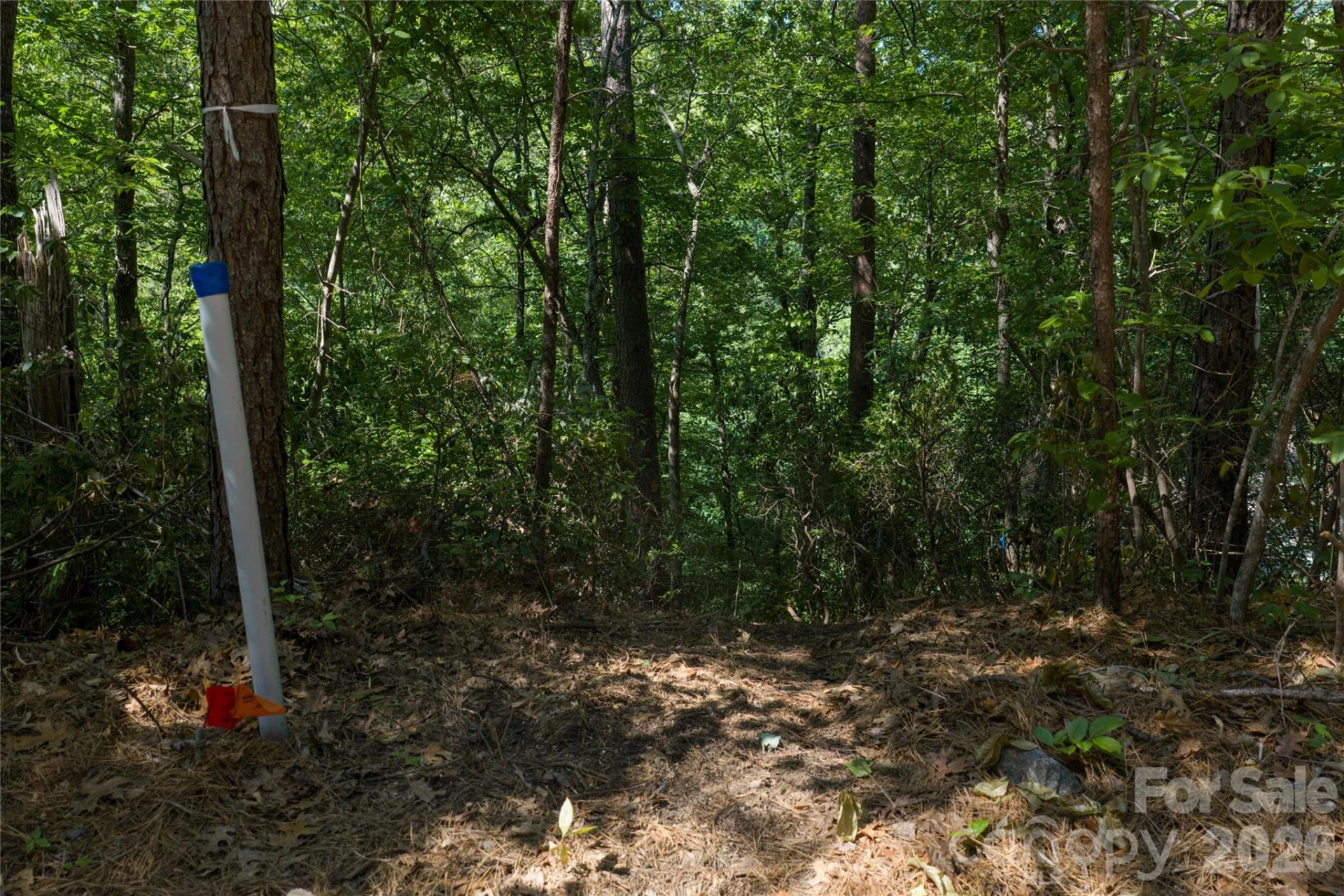 9999 Dogwood Drive - Photo 3