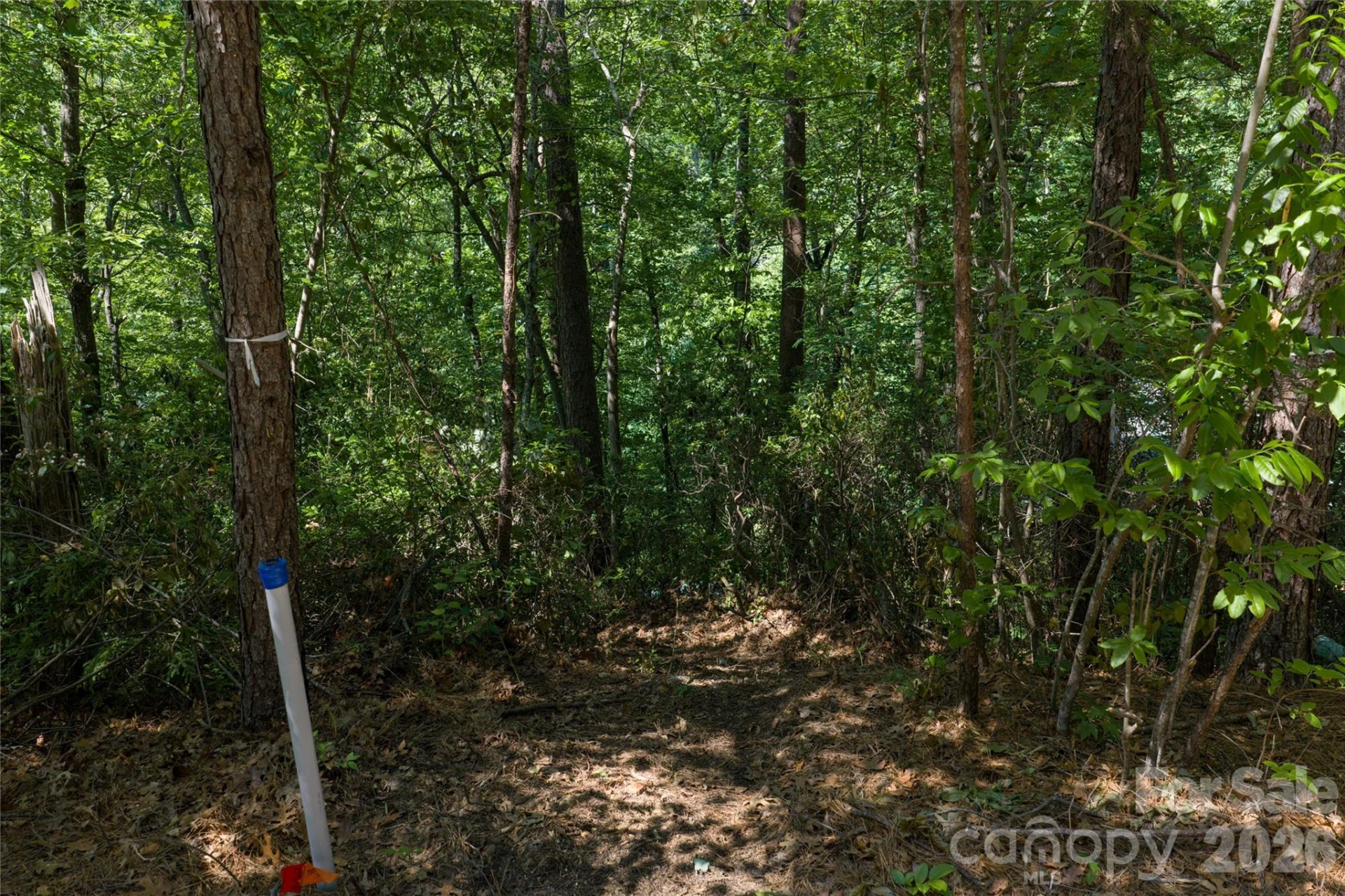 9999 Dogwood Drive - Photo 4