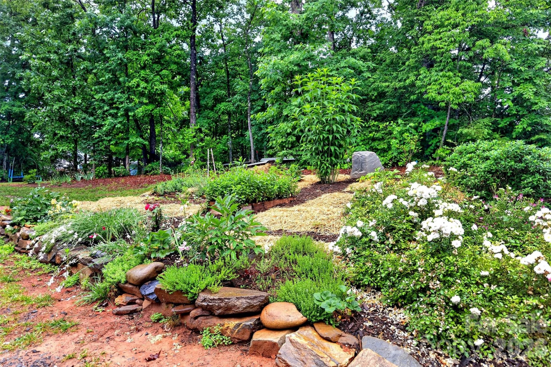 132 Maple Ridge Drive - Photo 40