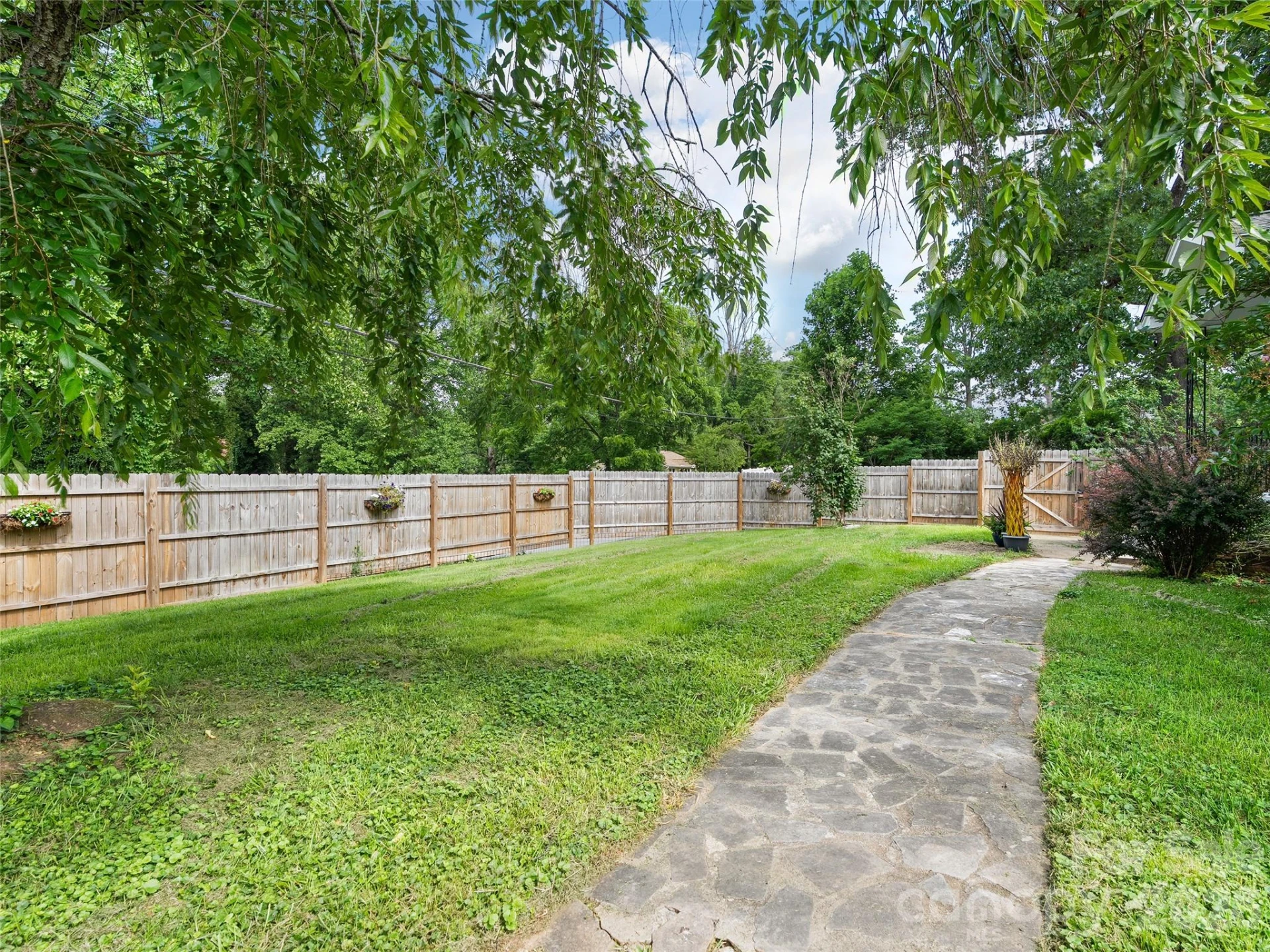 41 Cedar Street - Photo 5