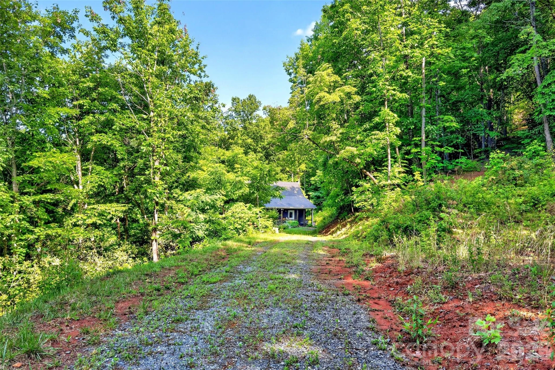 696 Hickory Nut Hollow - Photo 47