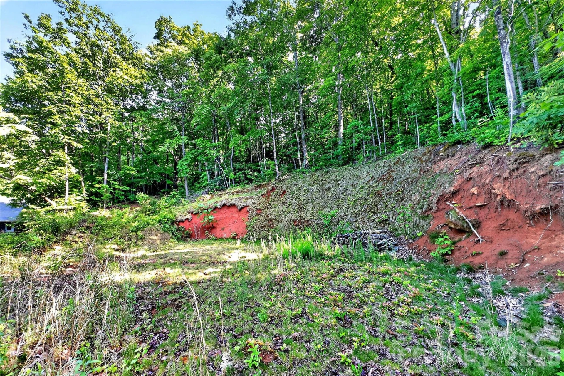 696 Hickory Nut Hollow - Photo 48