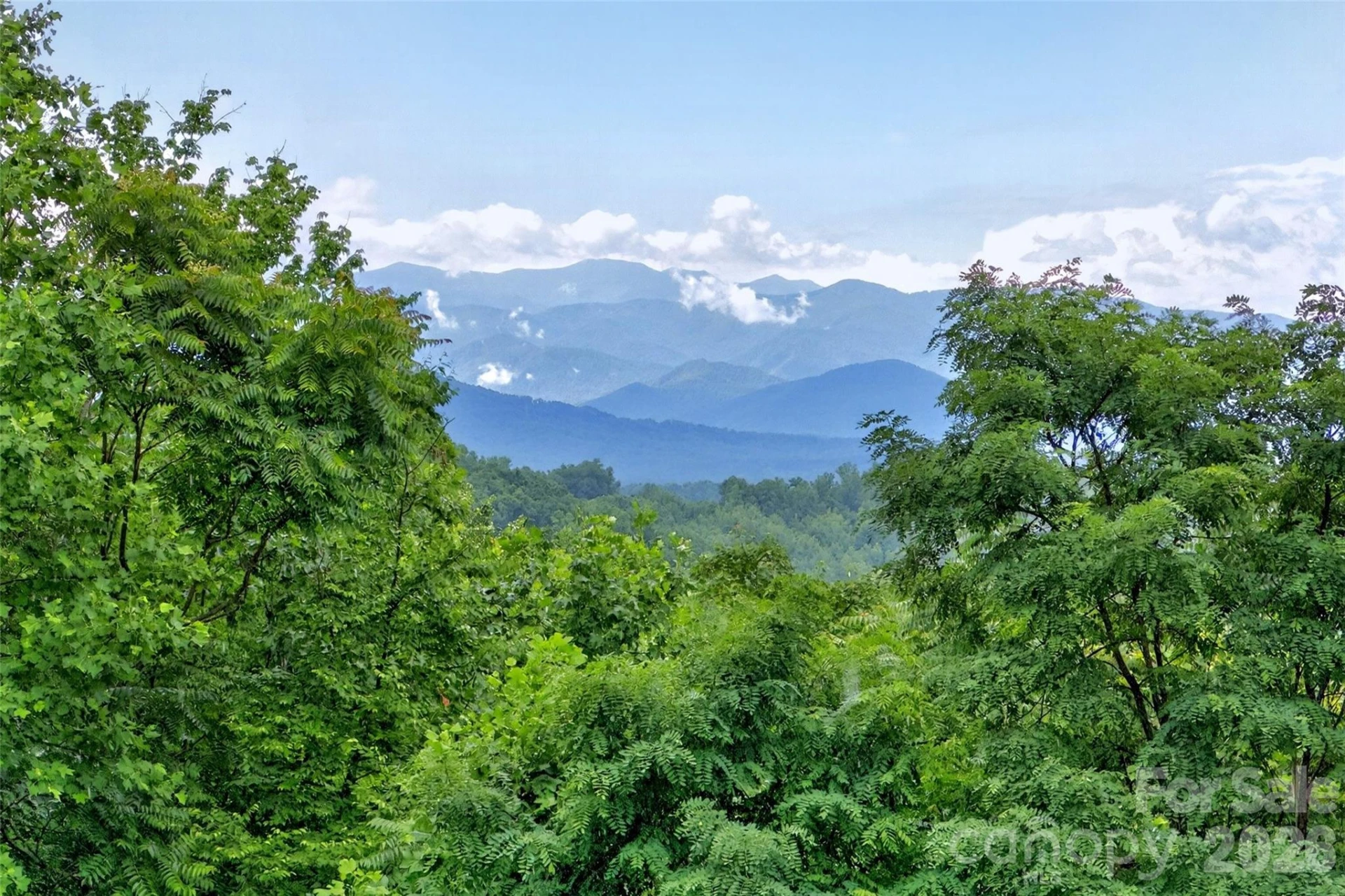696 Hickory Nut Hollow - Photo 10