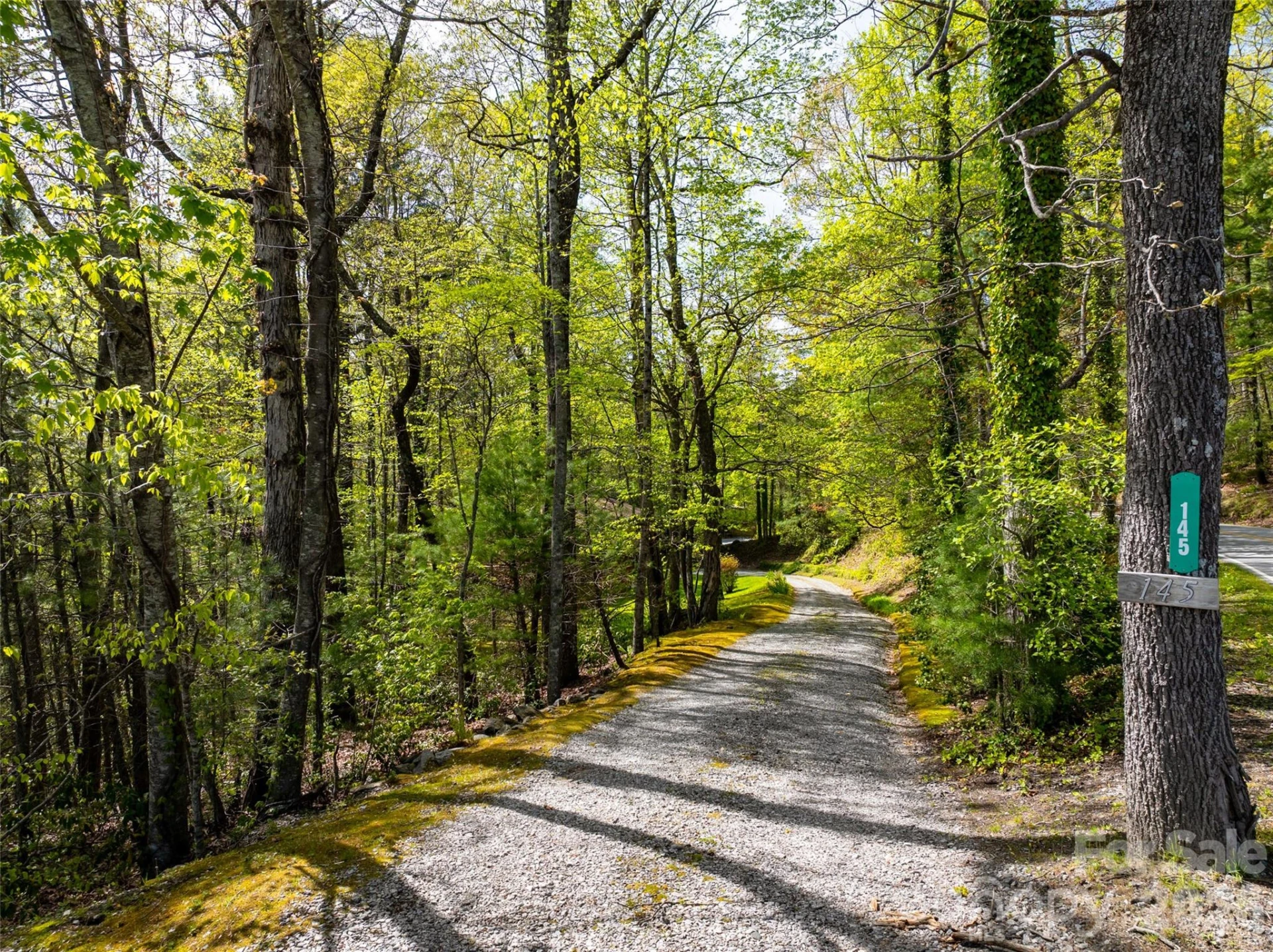 145 Jeter Mountain Road - Photo 4