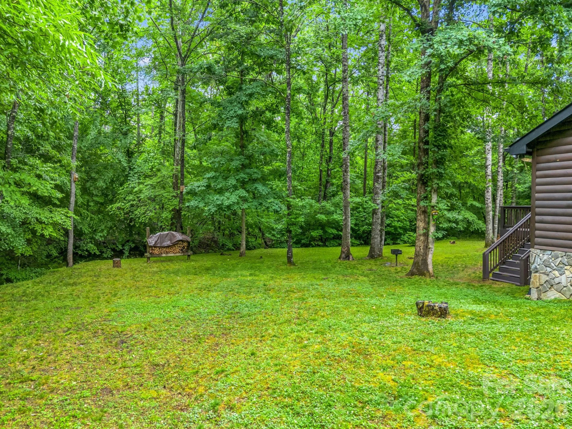 124 Golden Creek Trail - Photo 39