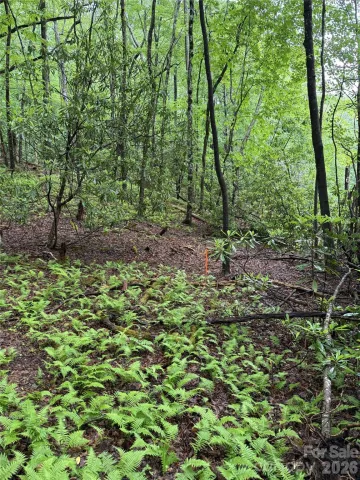 Lot 68 Cherrywood Lane, Pisgah Forest, NC, 28768