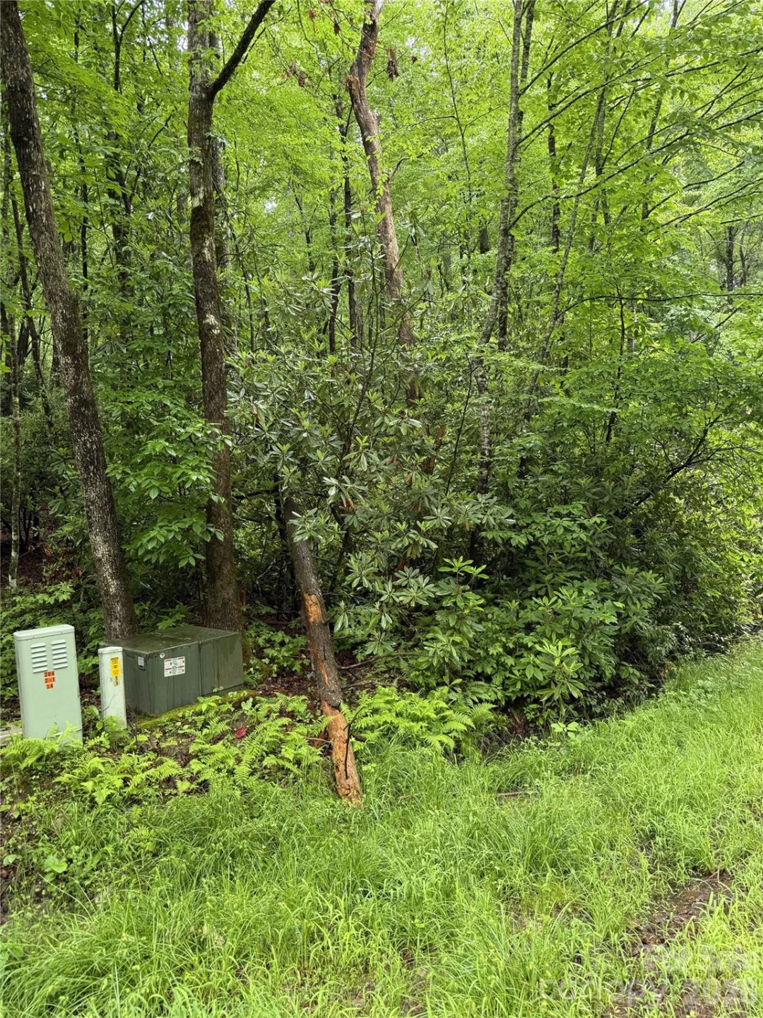 Lot 68 Cherrywood Lane - Photo 3