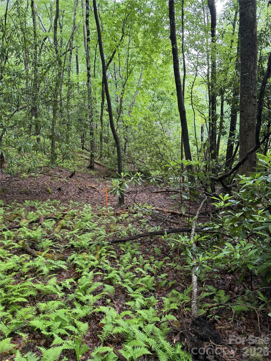 Lot 68 Cherrywood Lane - Photo 8