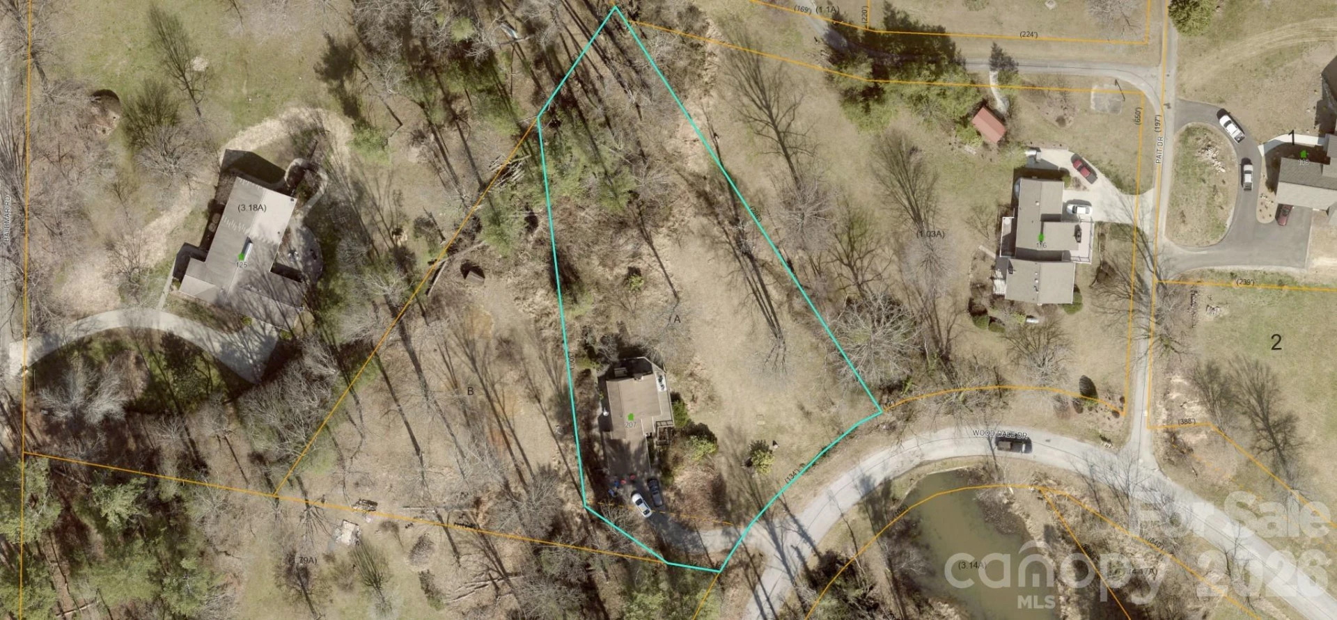 207 Wood Dale Drive - Photo 34