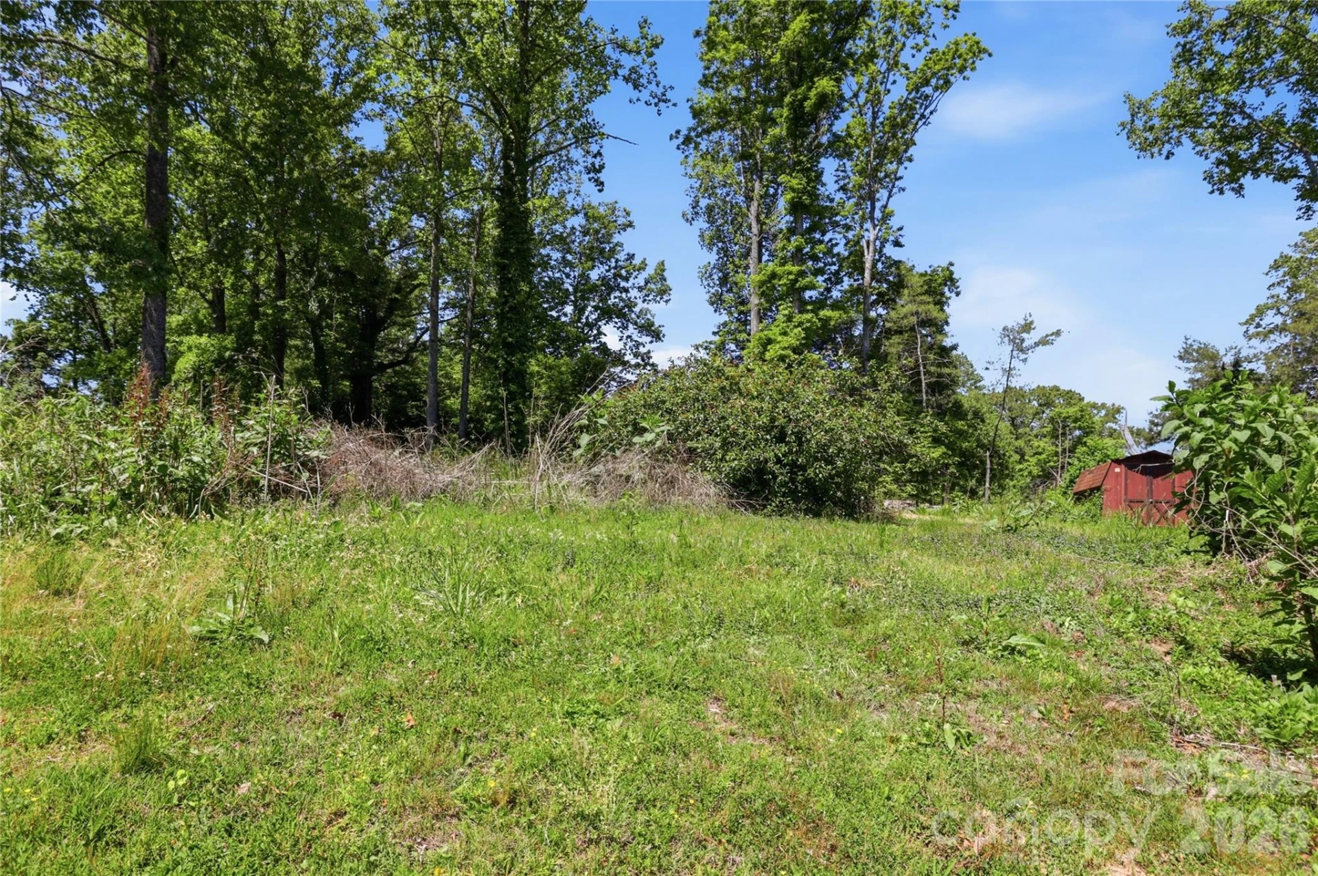 207 Wood Dale Drive - Photo 39