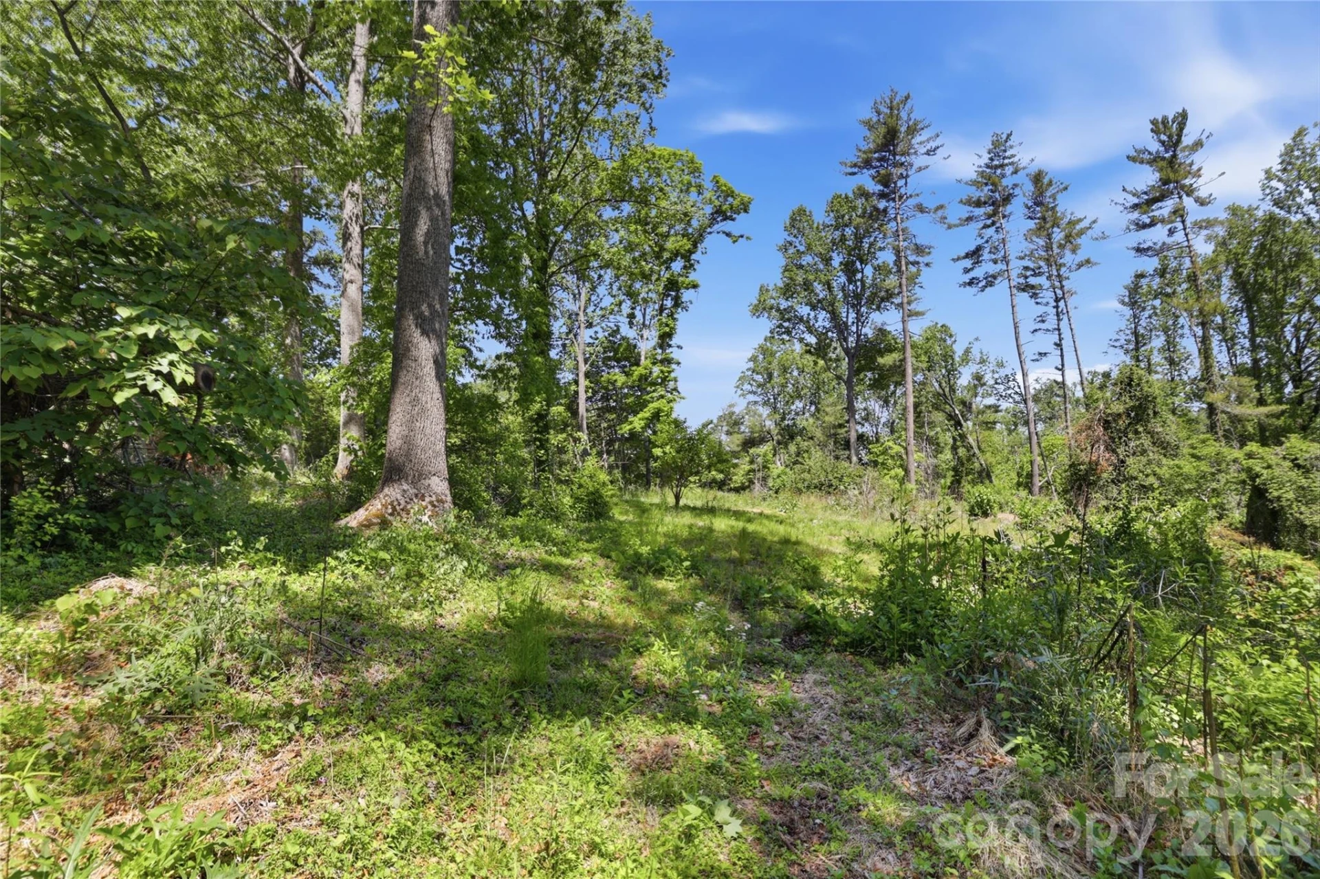 207 Wood Dale Drive - Photo 40
