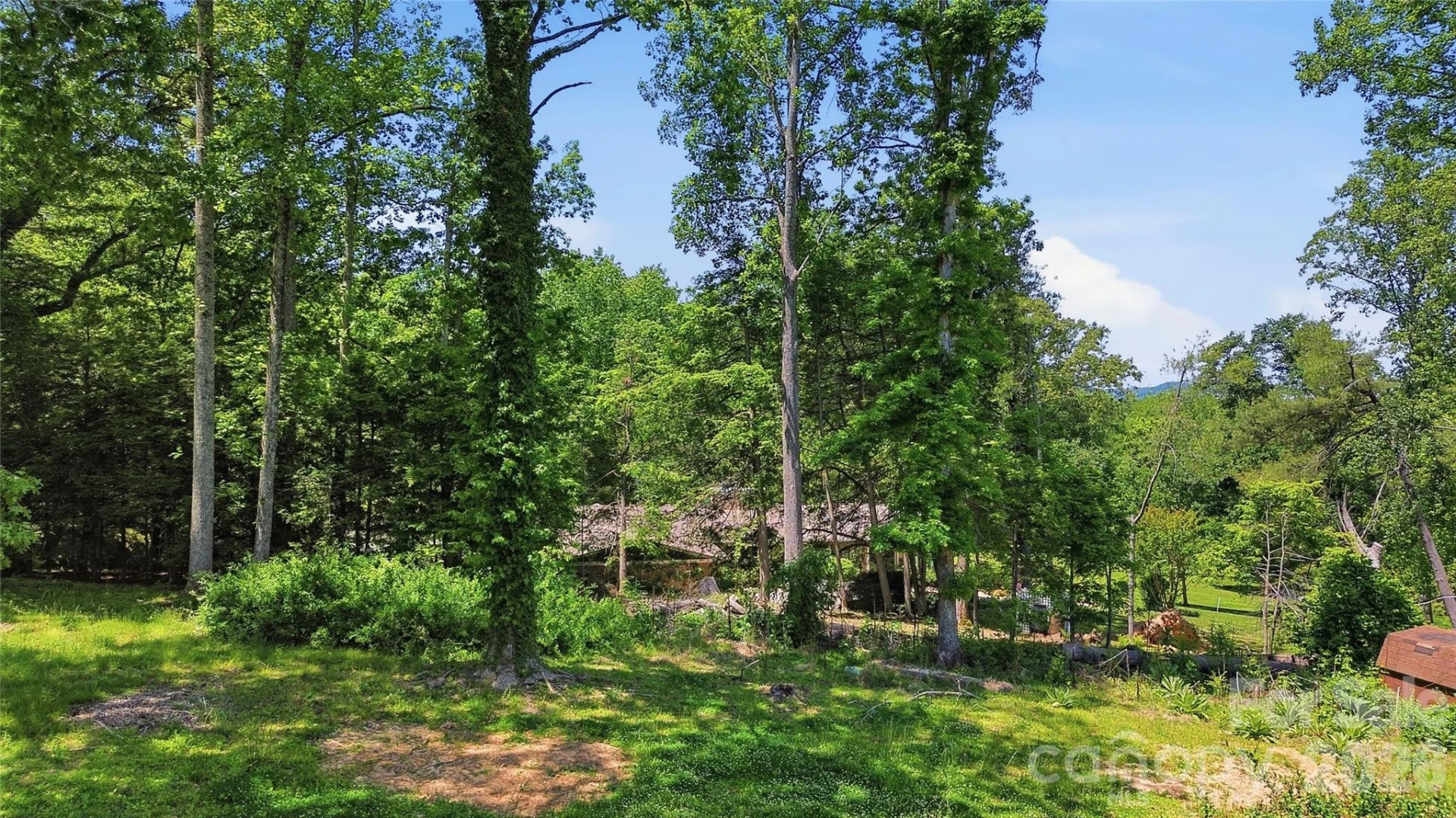 207 Wood Dale Drive - Photo 44