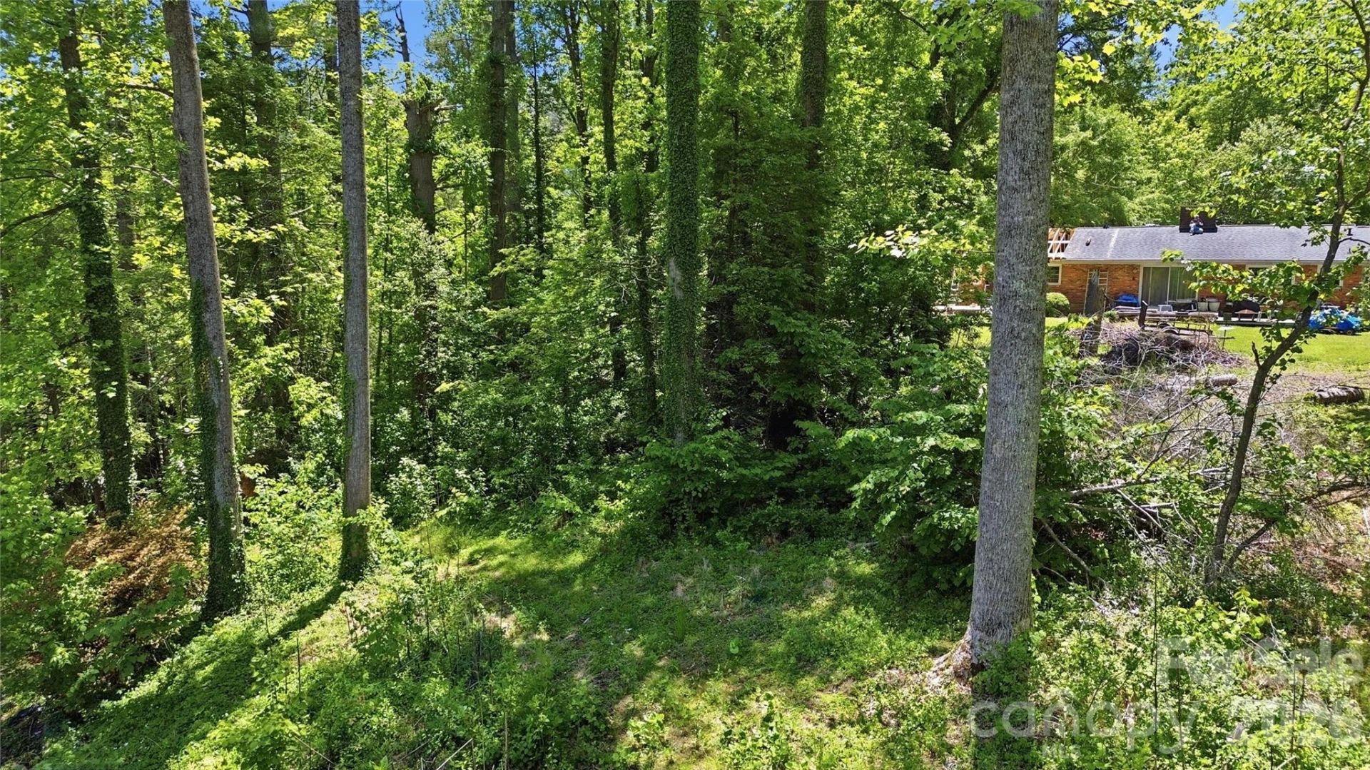 207 Wood Dale Drive - Photo 45